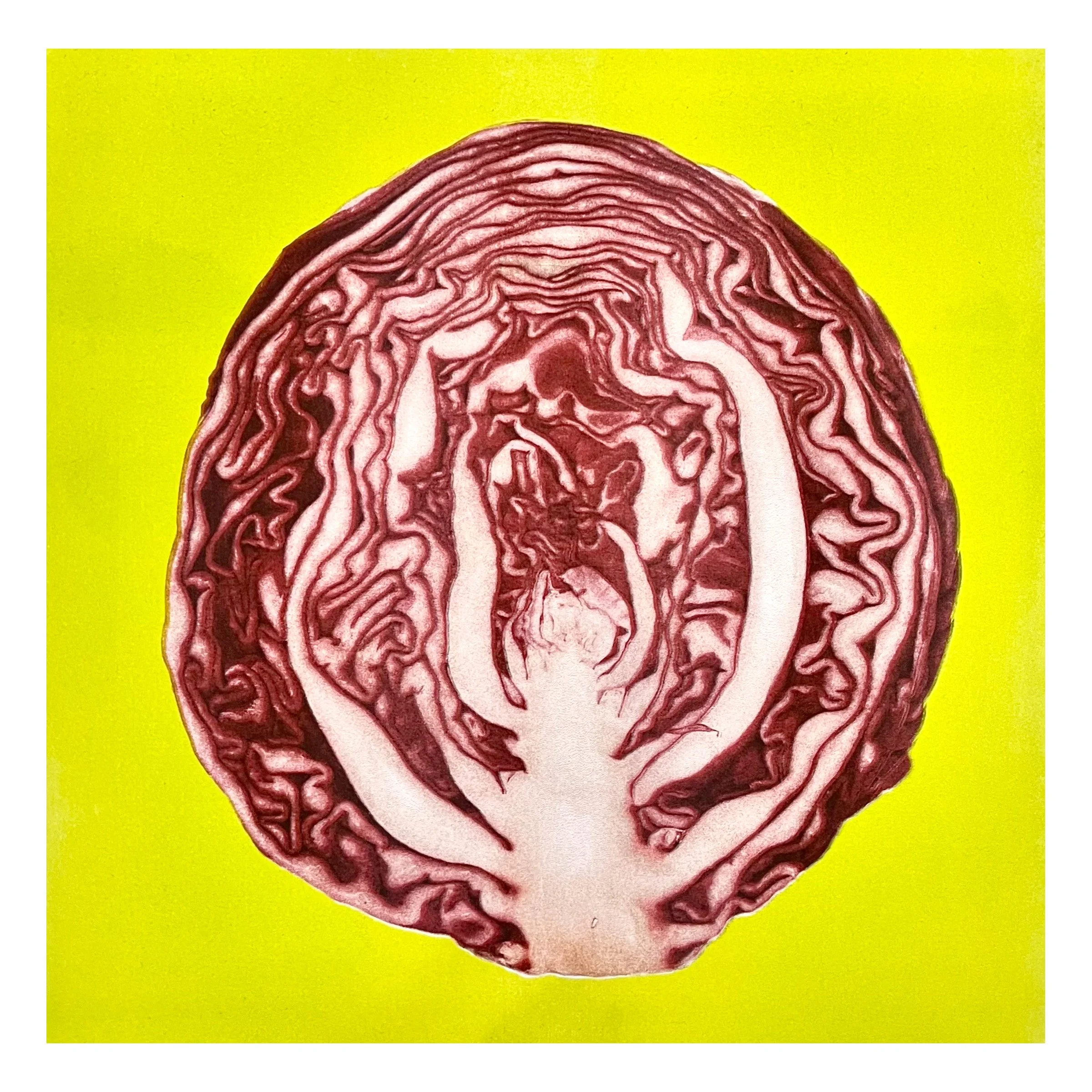 red cabbage printed.jpg