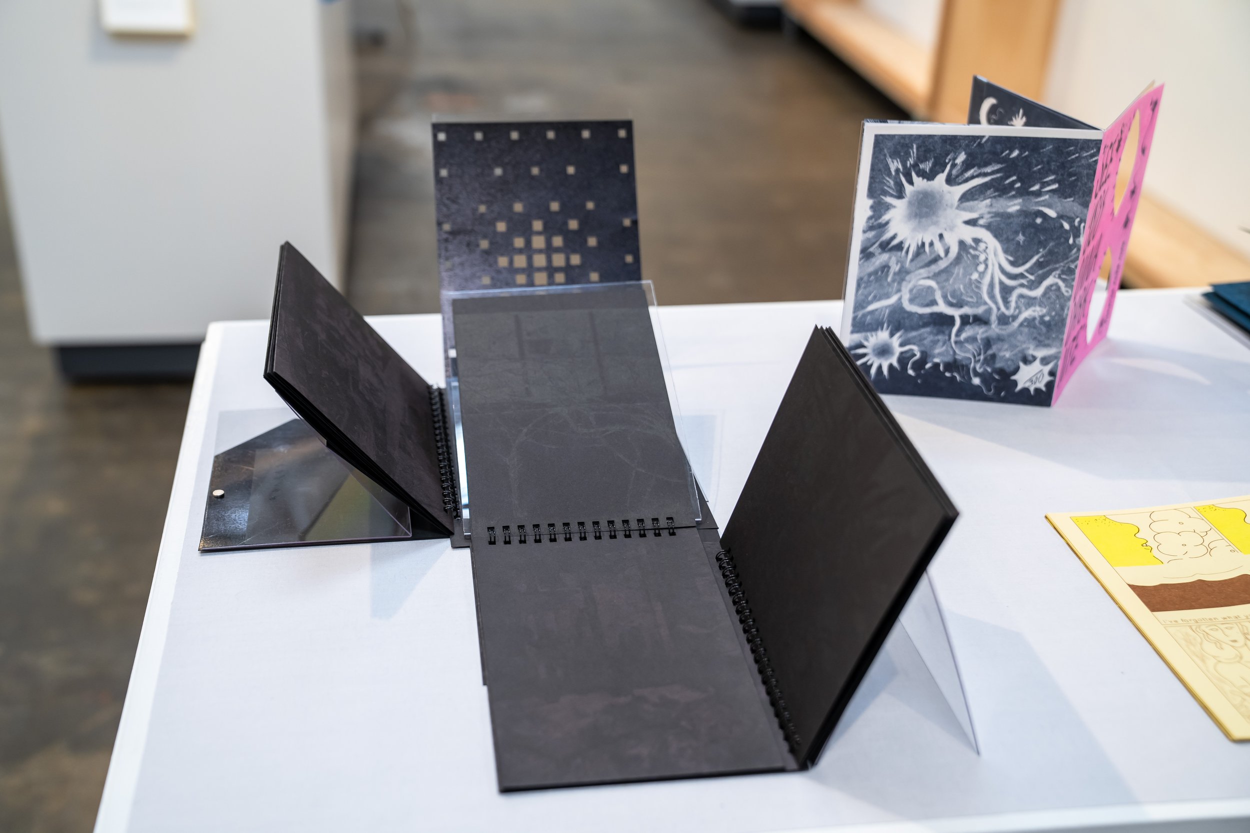 Unfolding Duplications-SFCB-024.jpg