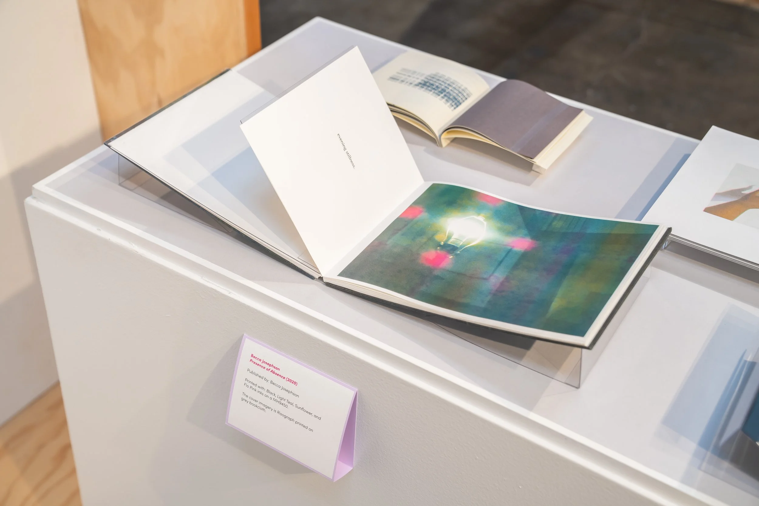 Unfolding Duplications-SFCB-030.jpg