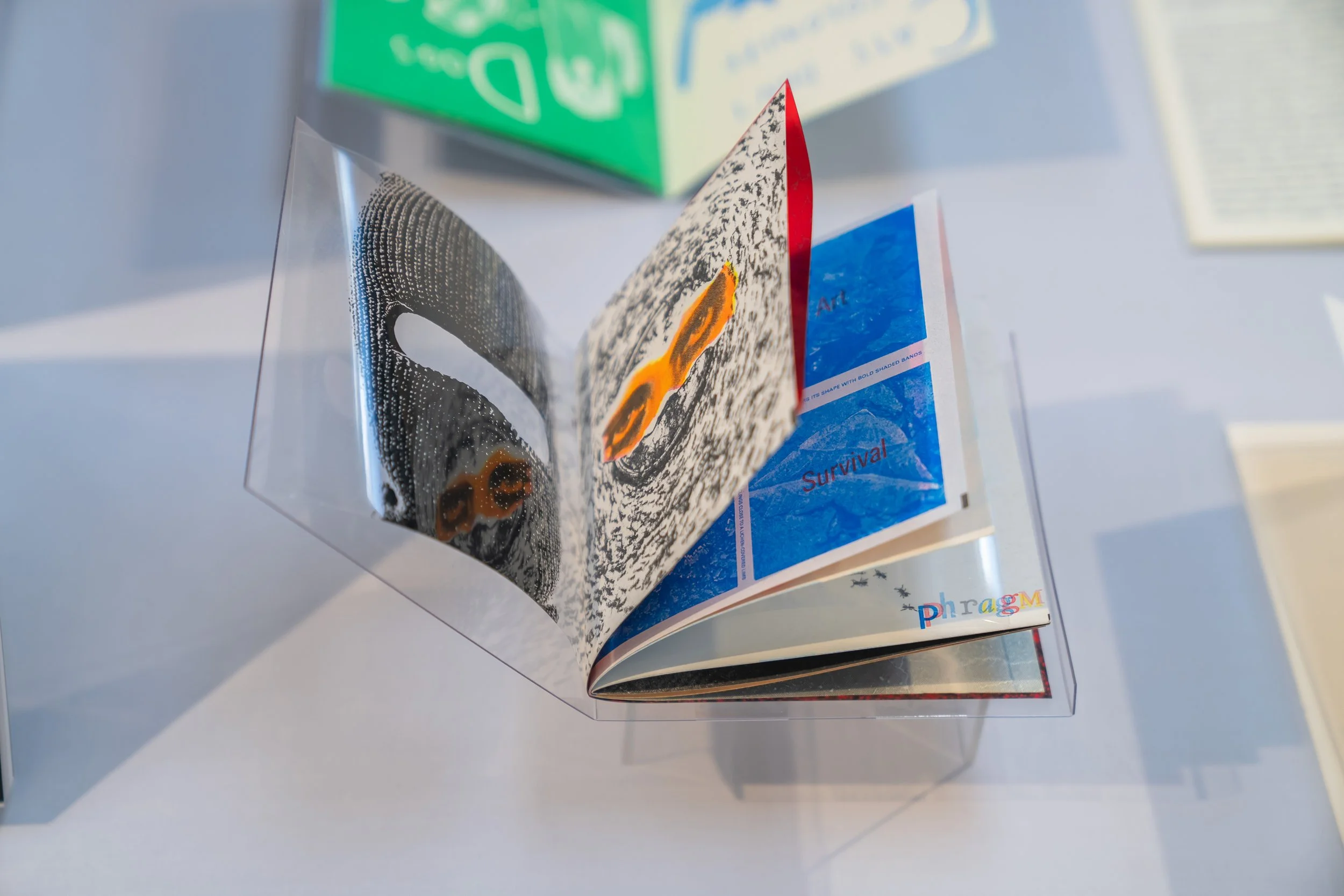 Unfolding Duplications-SFCB-041.jpg