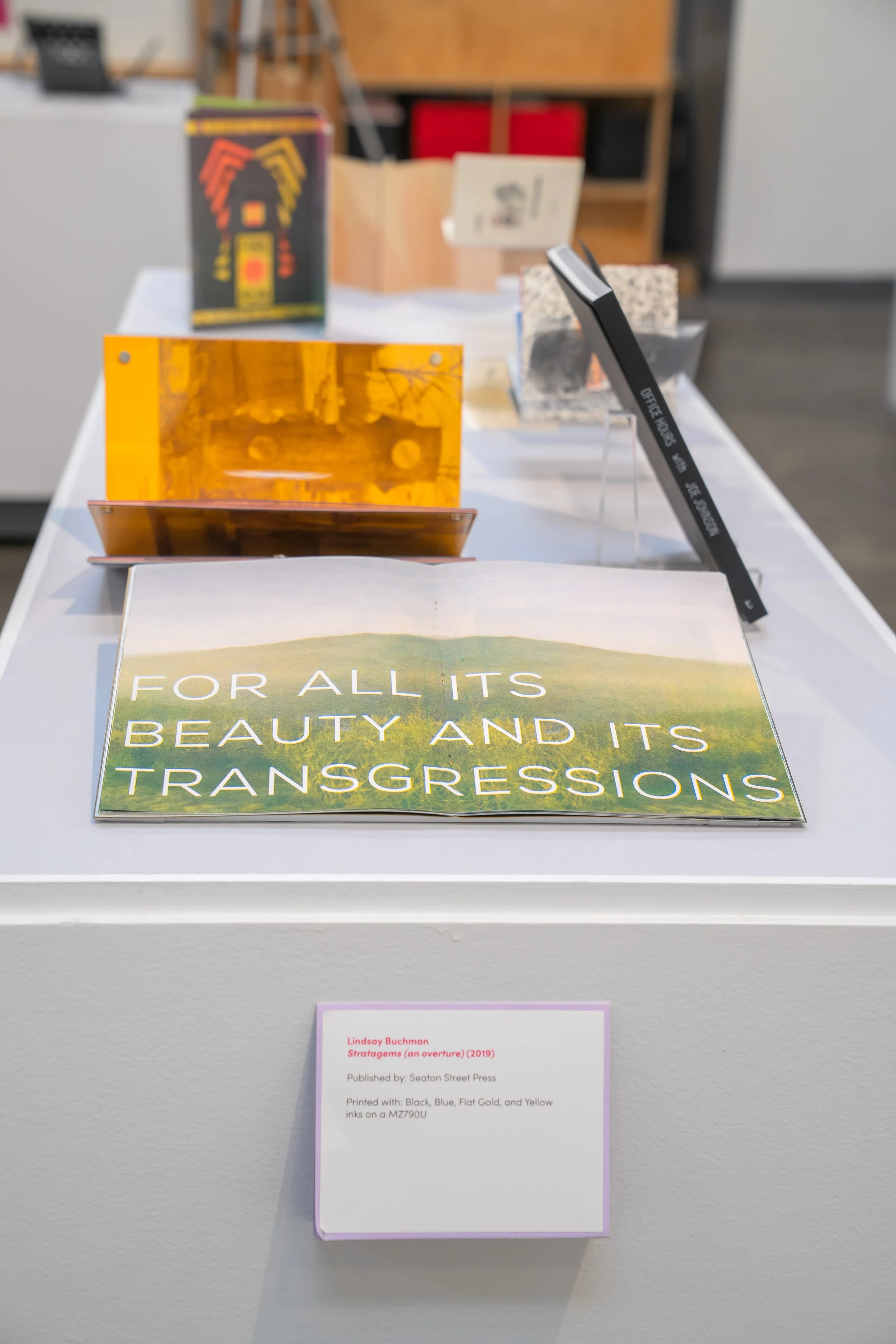 Unfolding Duplications-SFCB-044.jpg