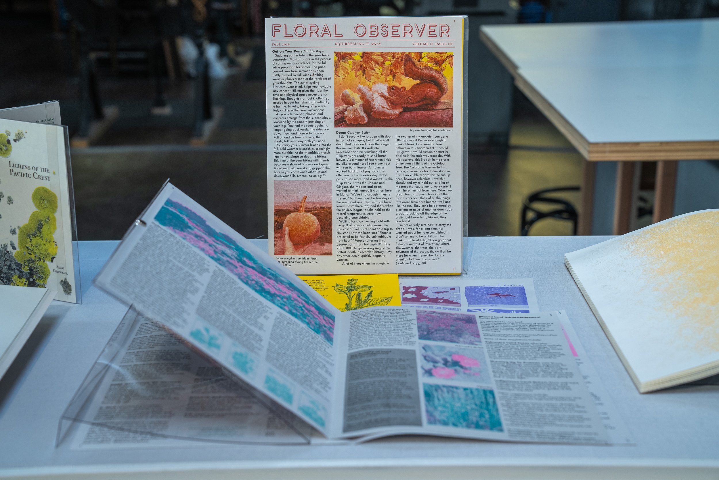 Unfolding Duplications-SFCB-120.jpg