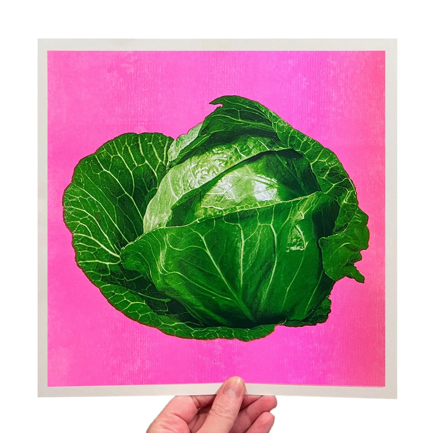 updated_cabbage print hand square.jpg