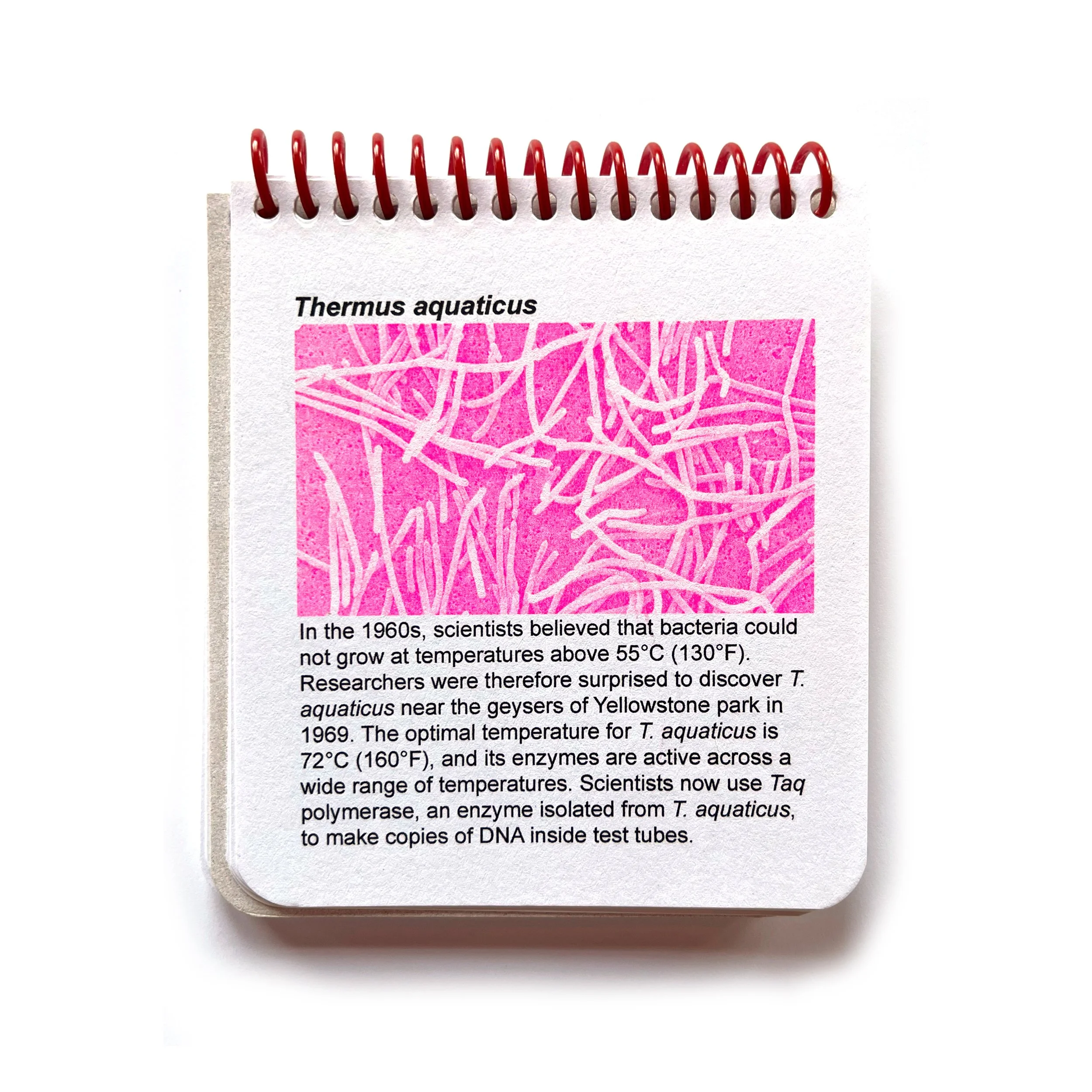 inside book square.jpg