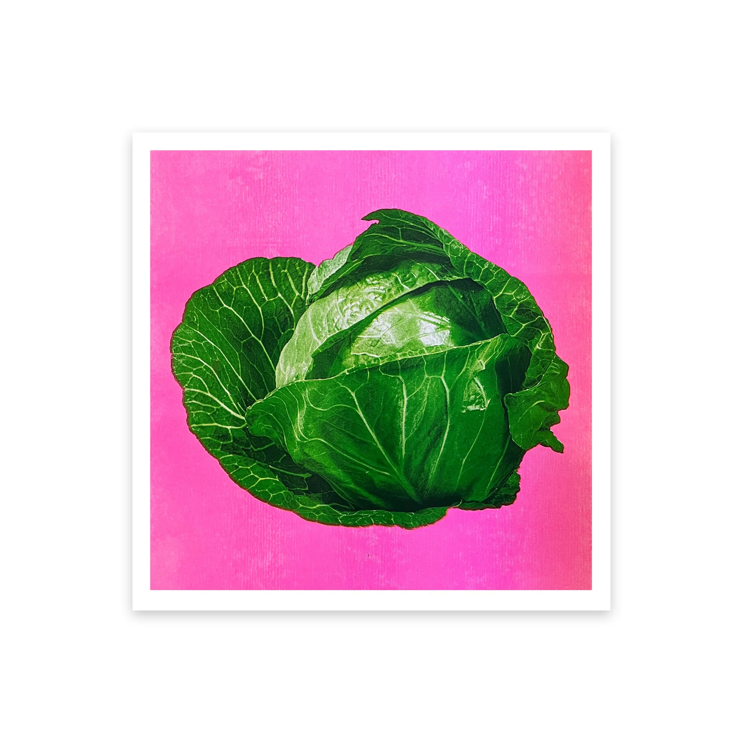 updated_cabbage square bigger.jpg