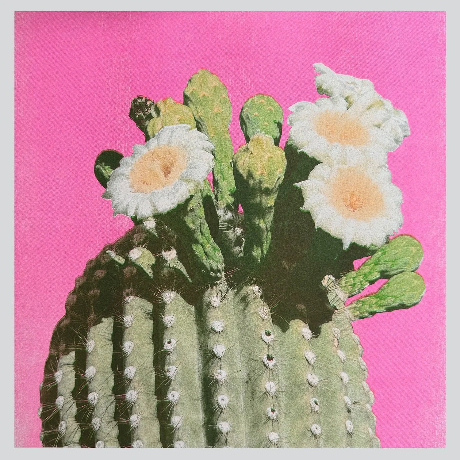 saguaro full print.jpg