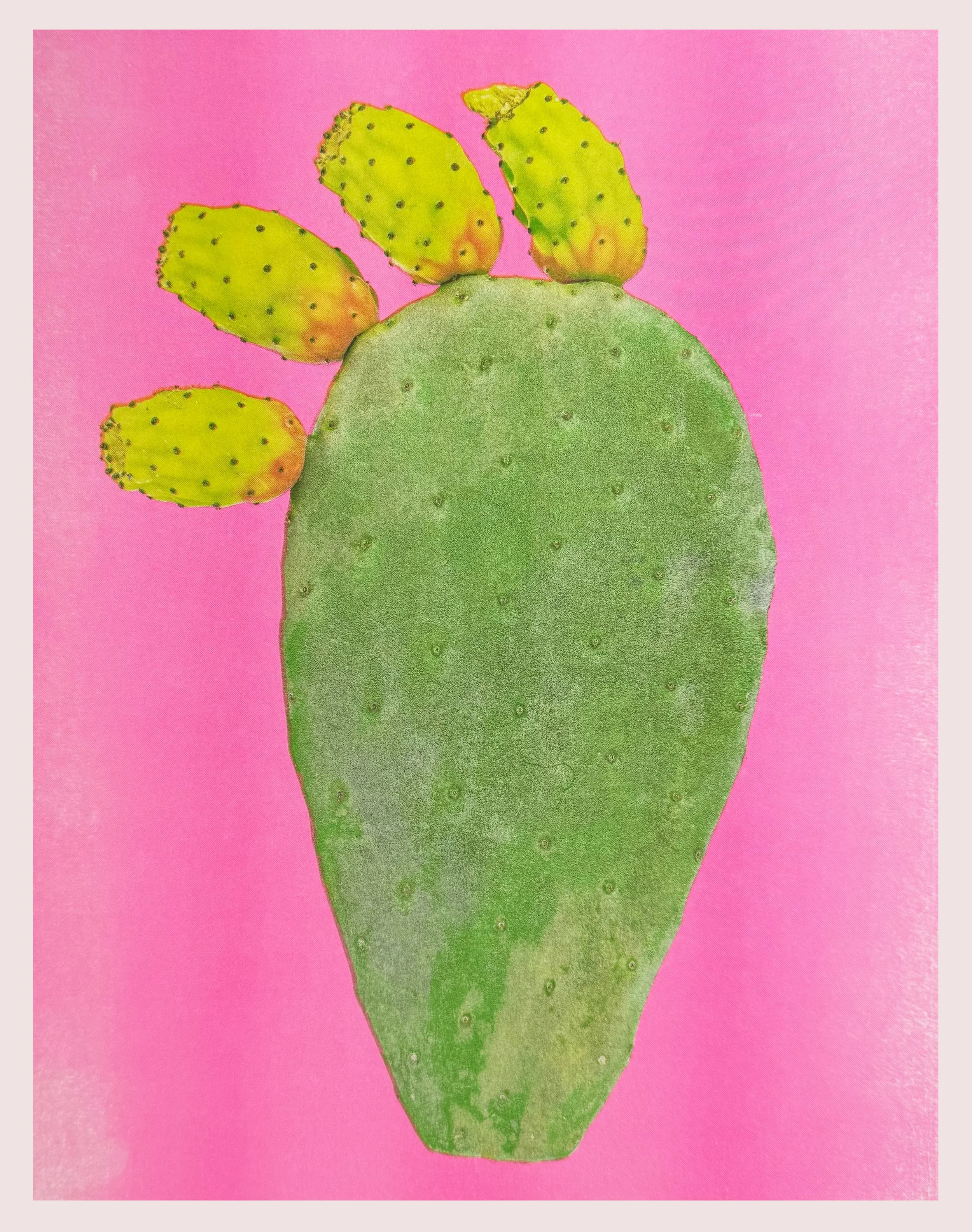 prickly pear full.jpg