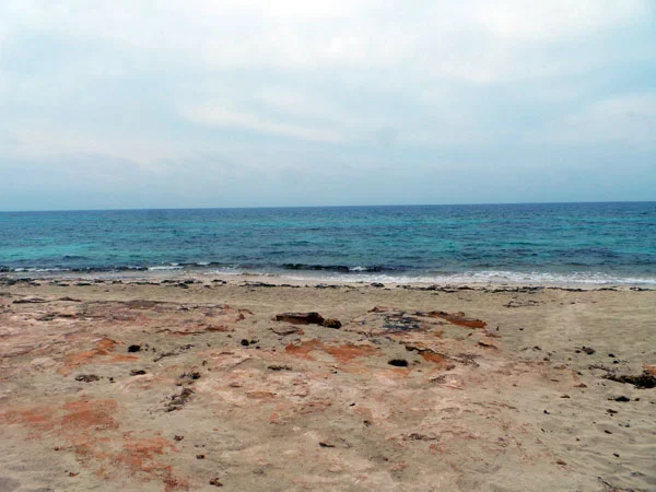 beach2.jpg