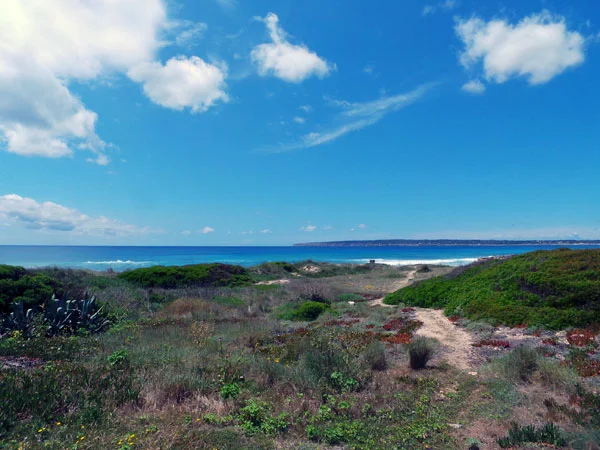 Formentera-Beach.jpg