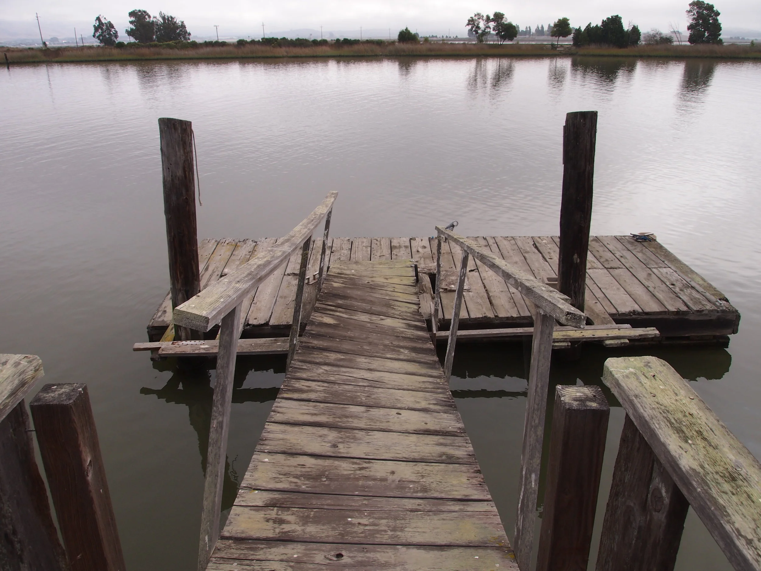 Scholium-Wines-Abe-Schoener-Dock.jpg