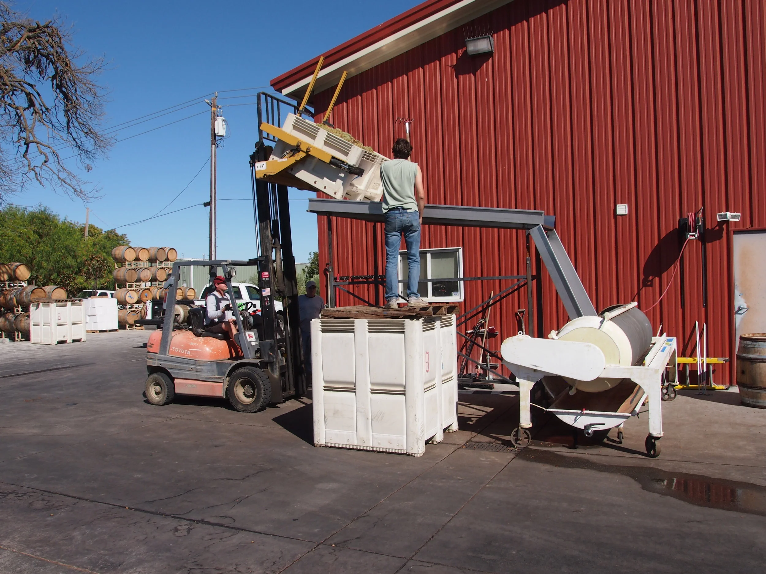 Scholium-Wine-Abe-Schoener-Machinery.jpg