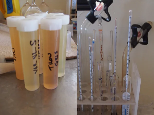 Scholium-Wine-Abe-Schoener-Wine-Science.jpg