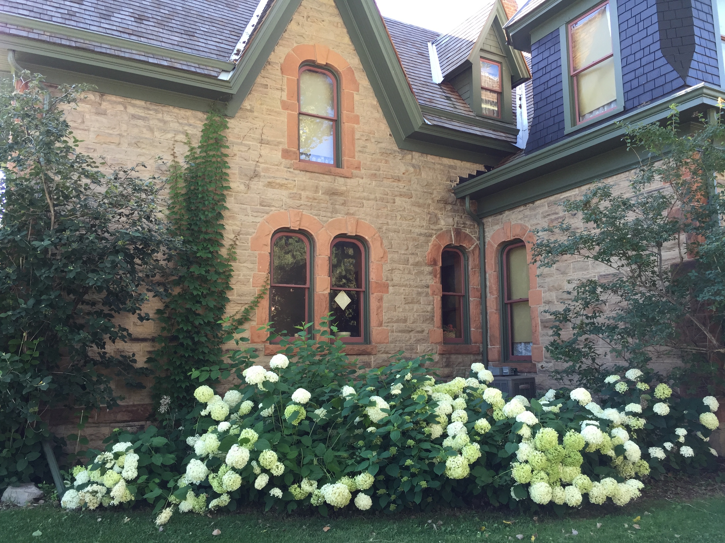 1-Avery-House-Summer-2015-snowball-bushes.JPG