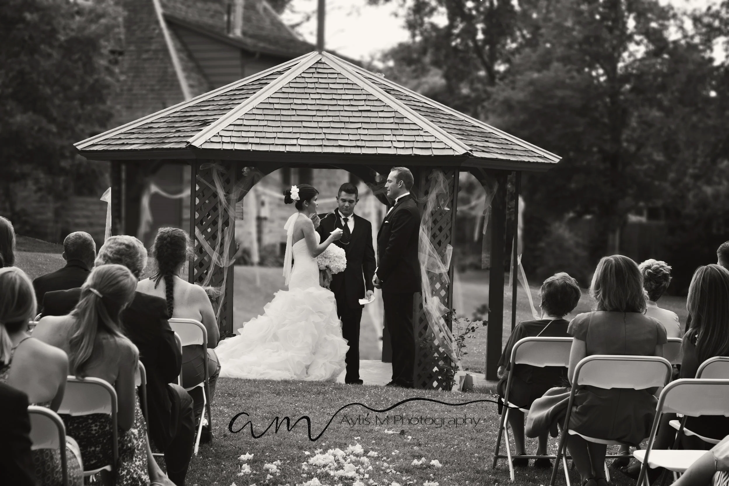 Aylis M Photography