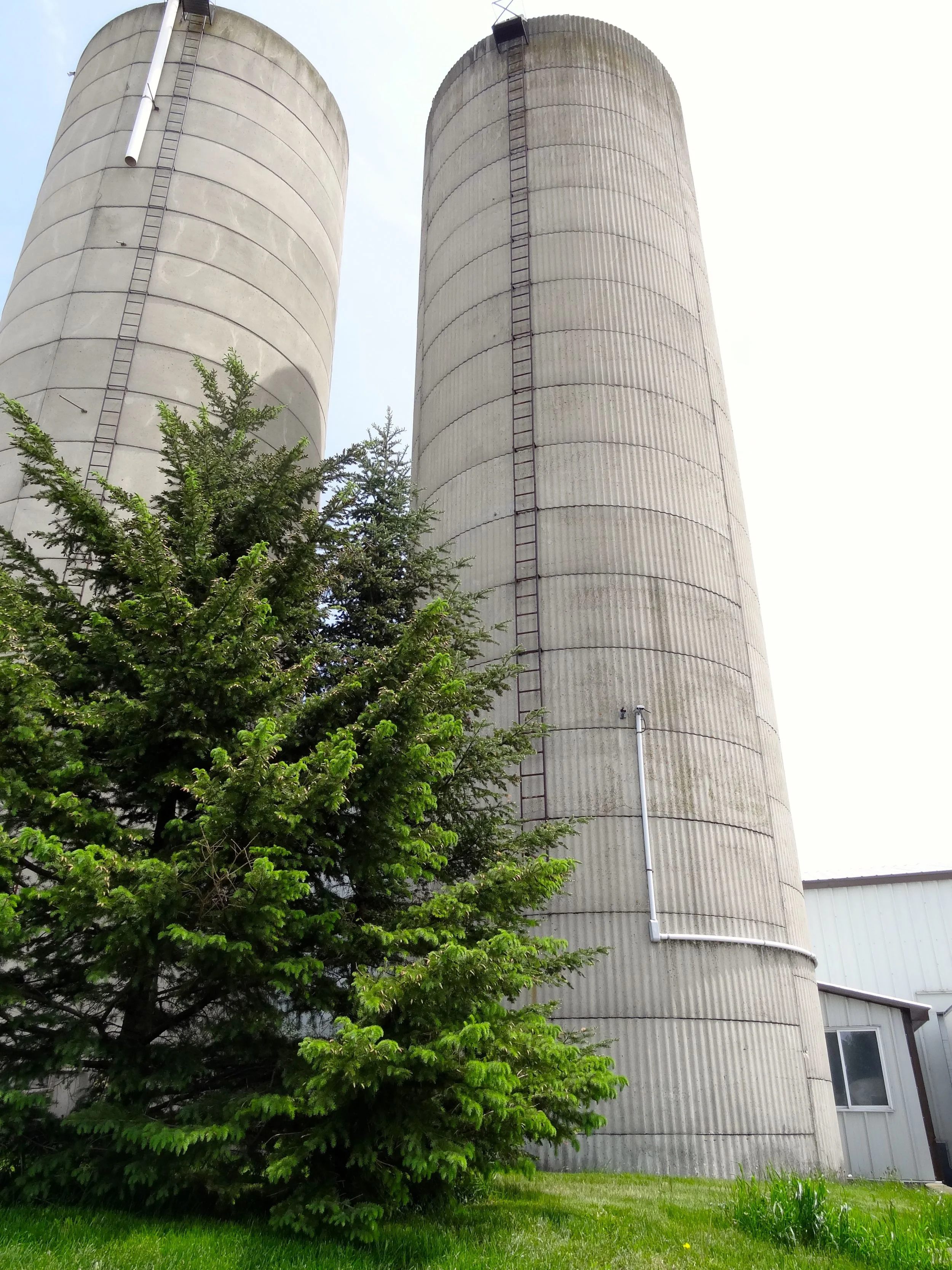 Gildale Farms Fuel Pellets and Bedding Pellets Ontario
