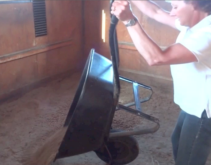 Dumping wood pellets for animal bedding