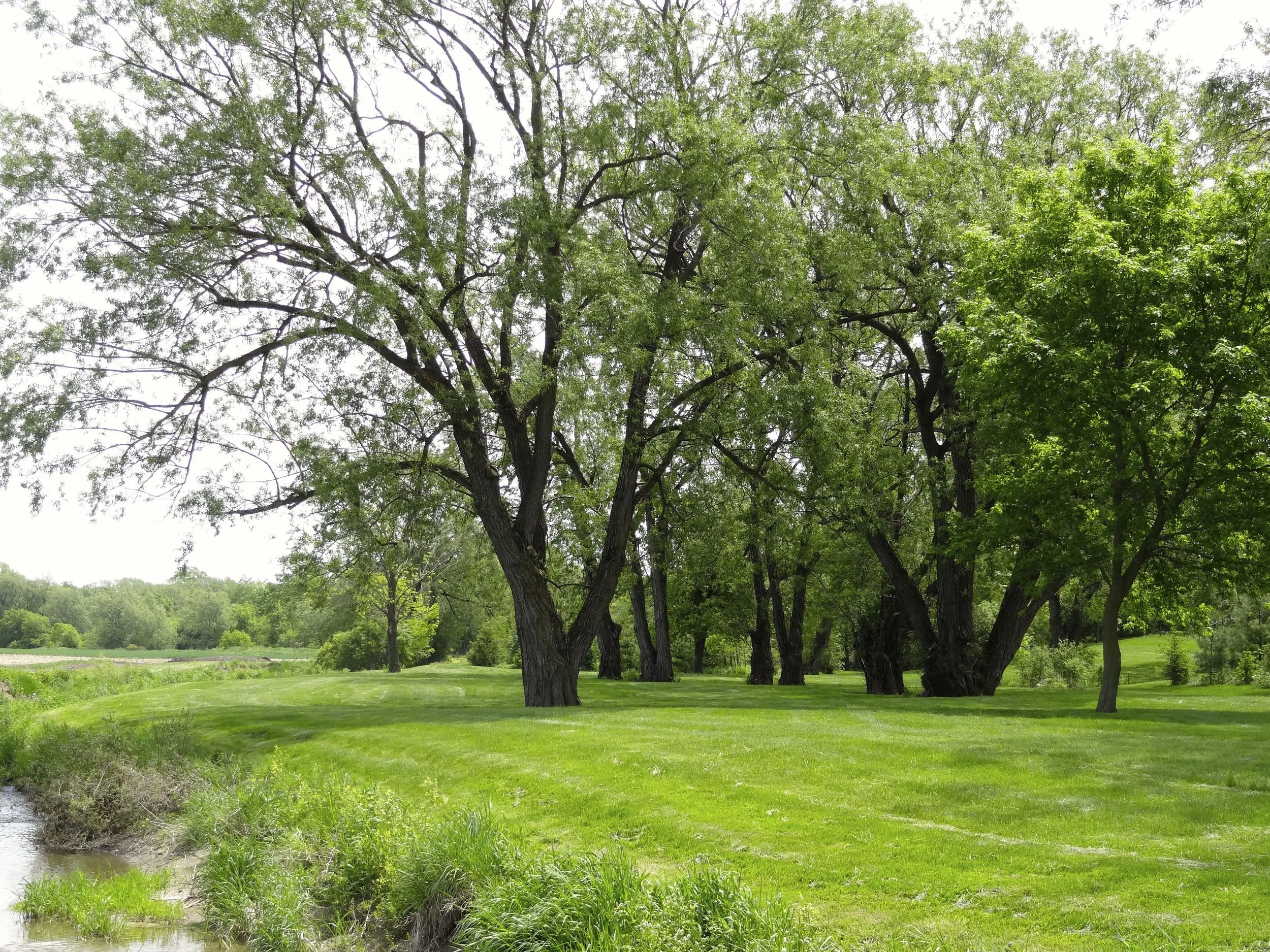 Southwestern Ontario