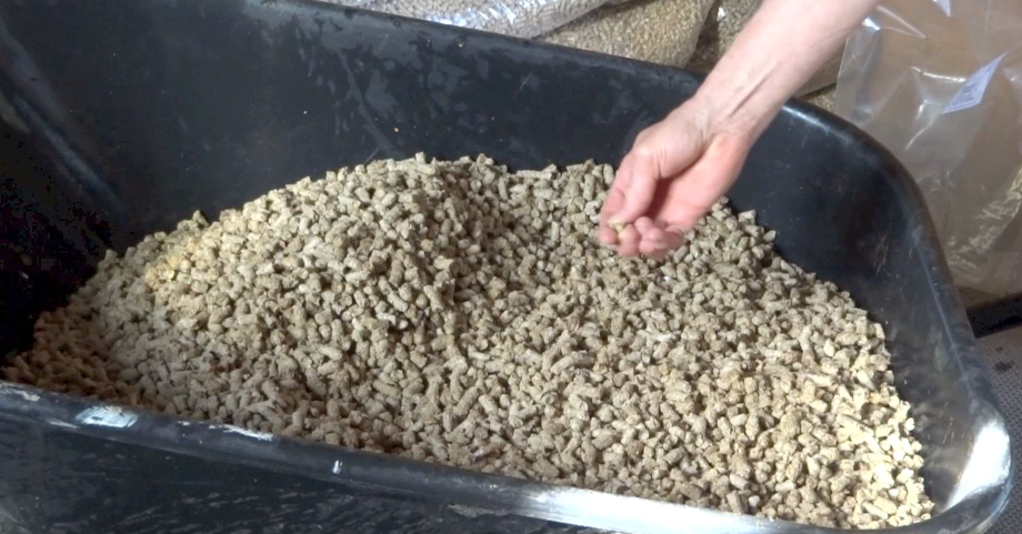 examination of wood pellets for animal bedding