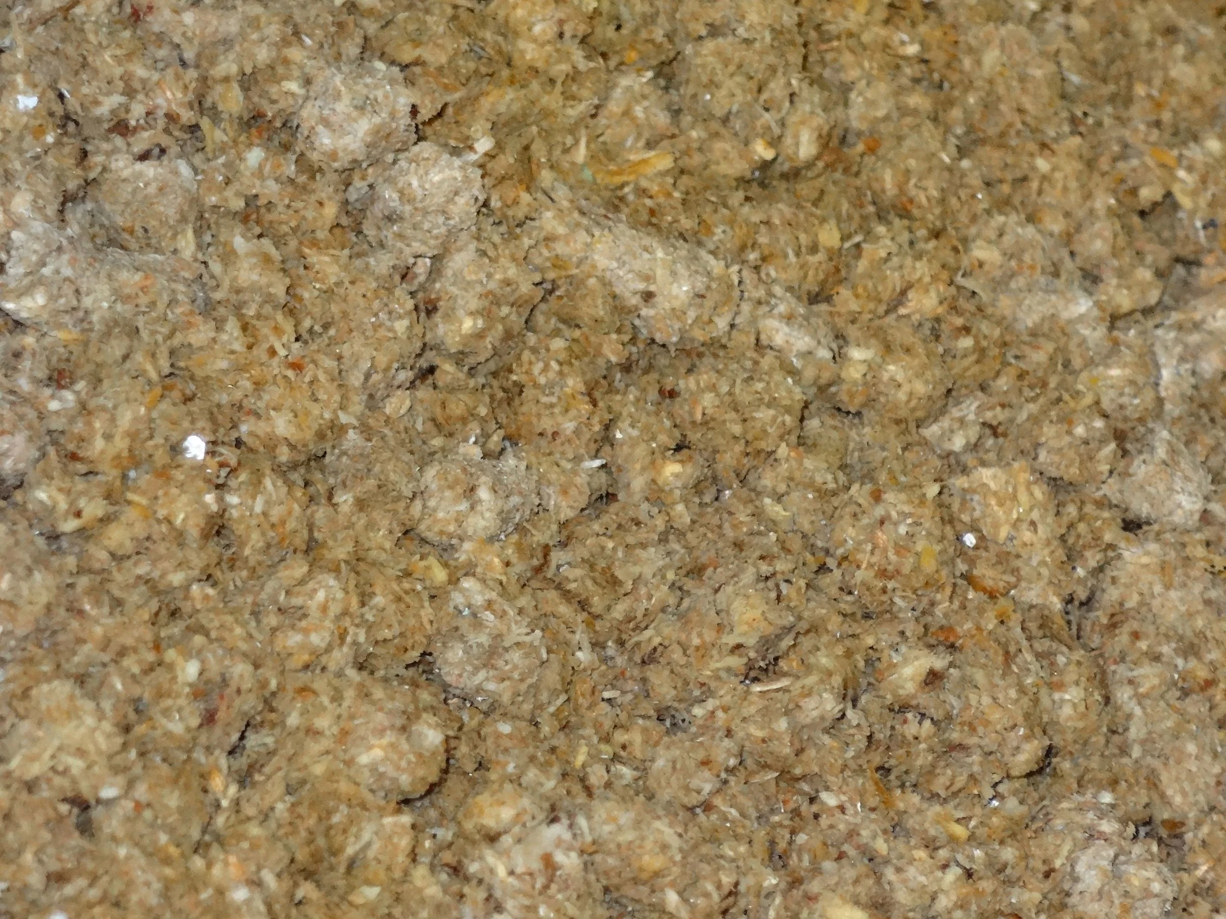 Pellets expanded after adding water and ready for use