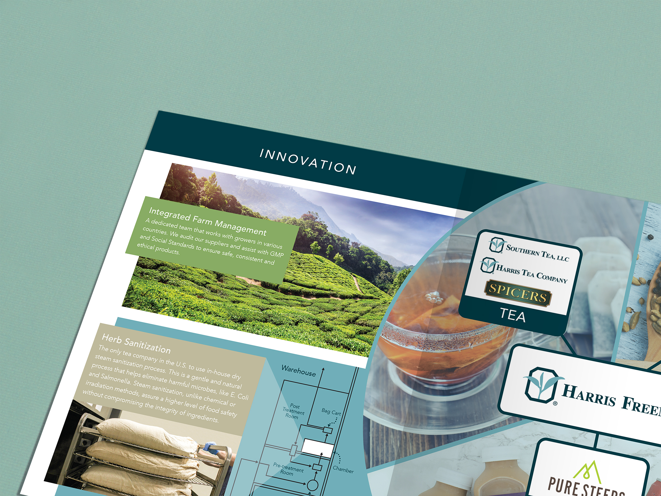 Brochure_closeup.jpg