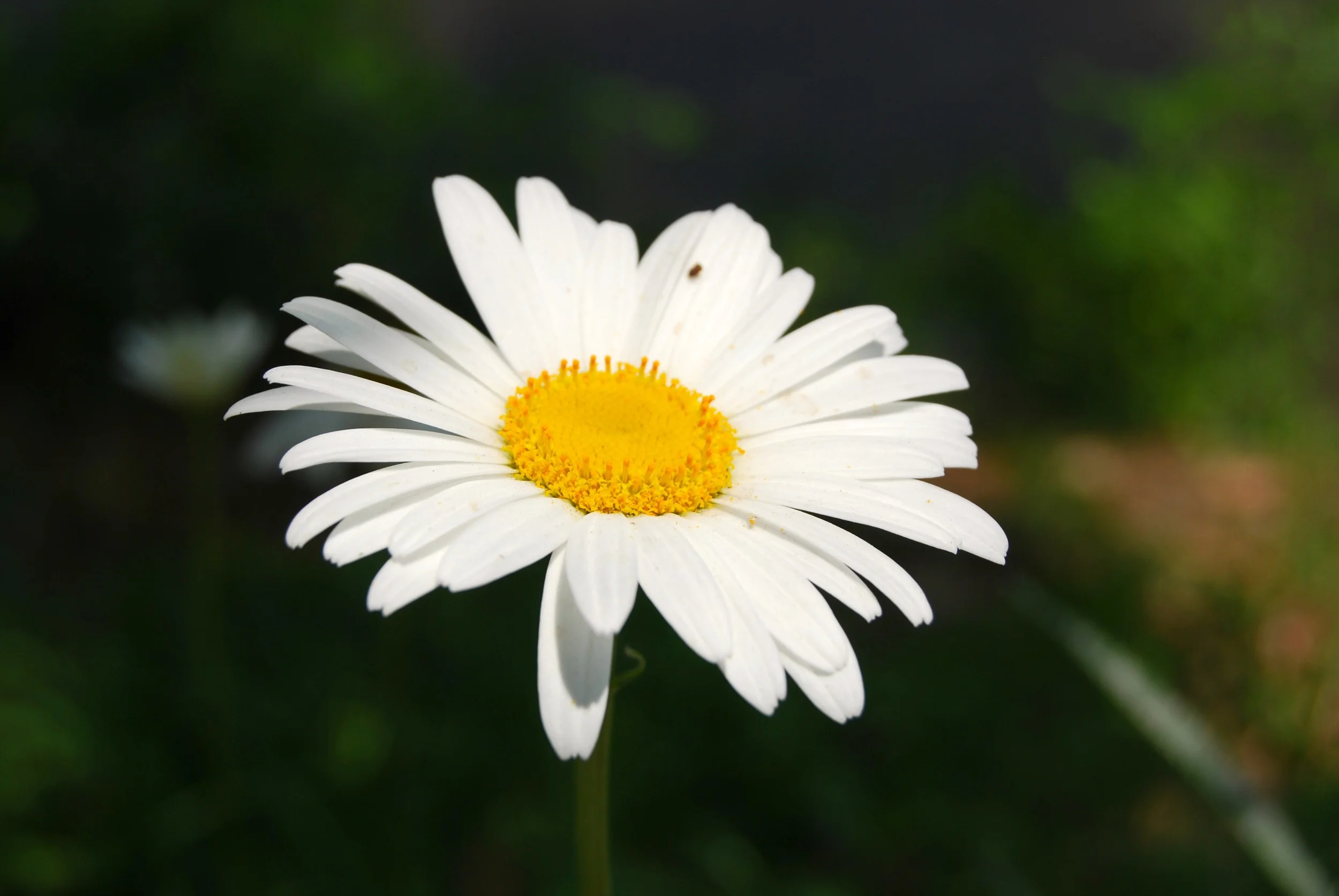 DSC_5017 EDIT.jpg