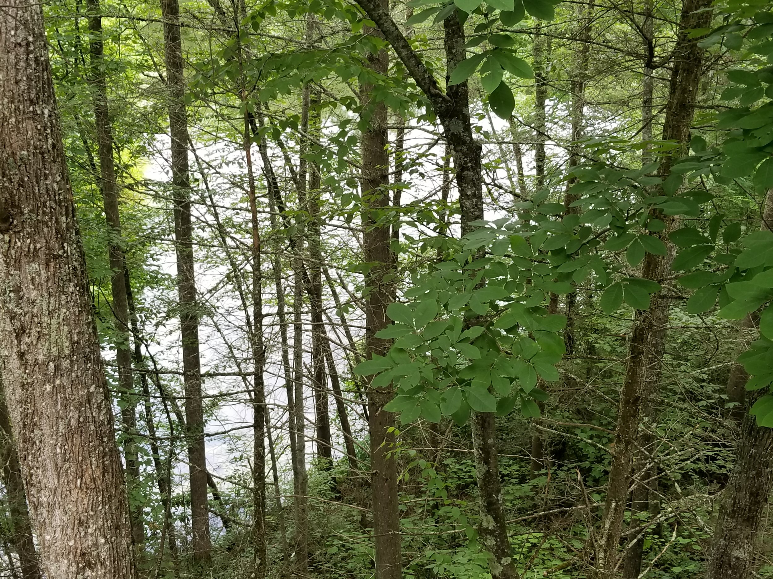 20180702_134104.jpg