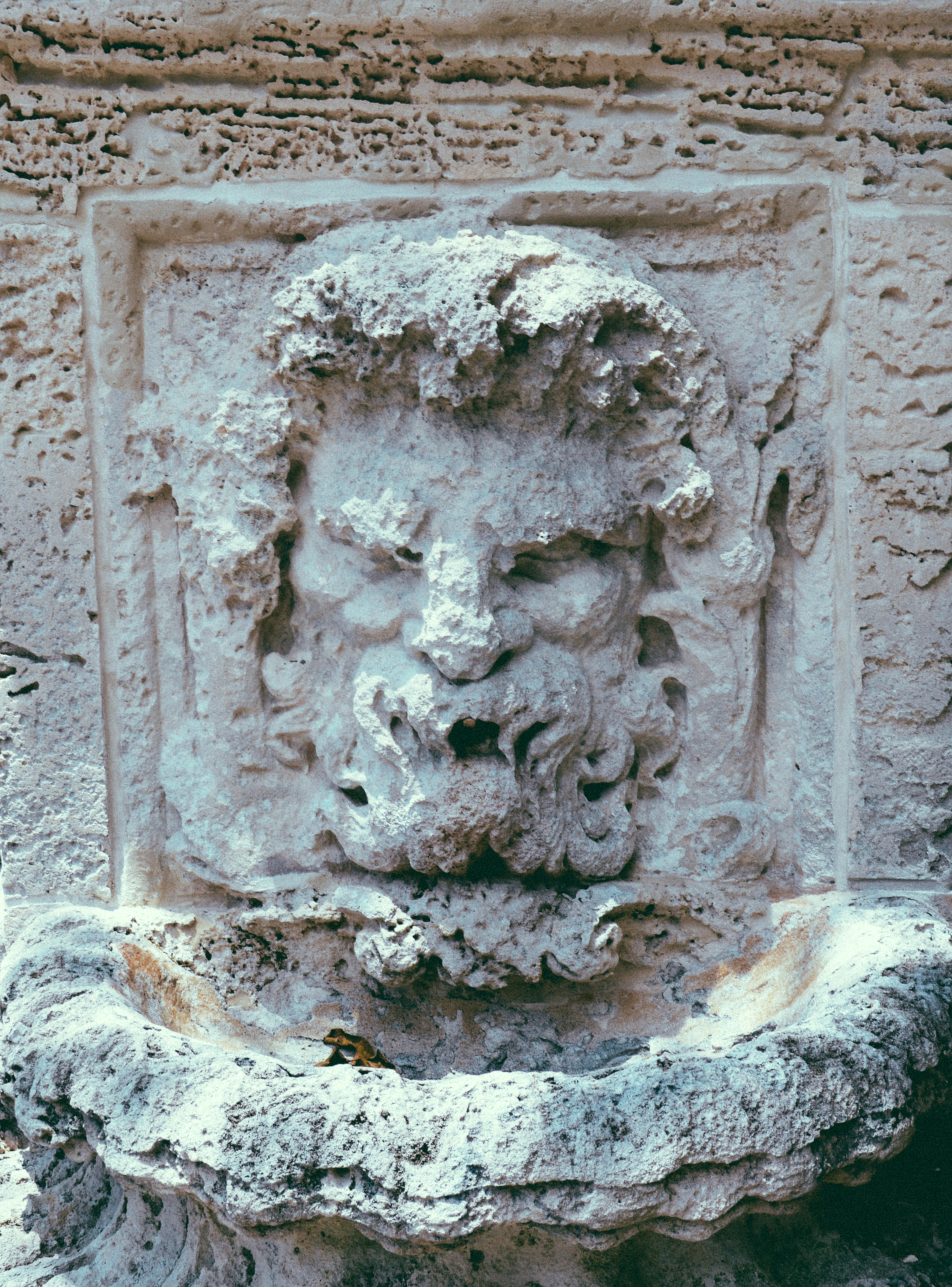 vizcaya-2.jpg