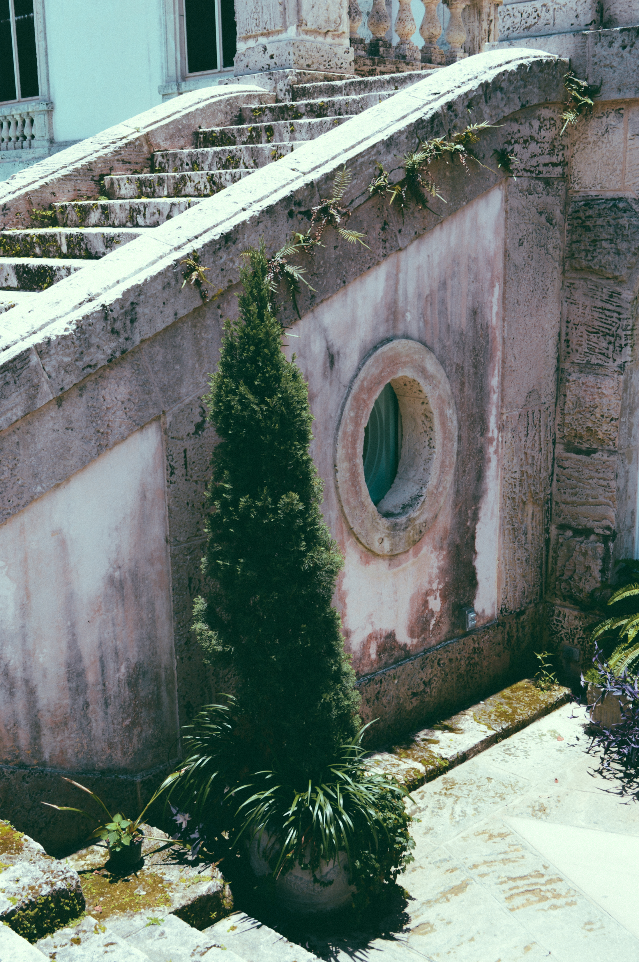 vizcaya-8.jpg