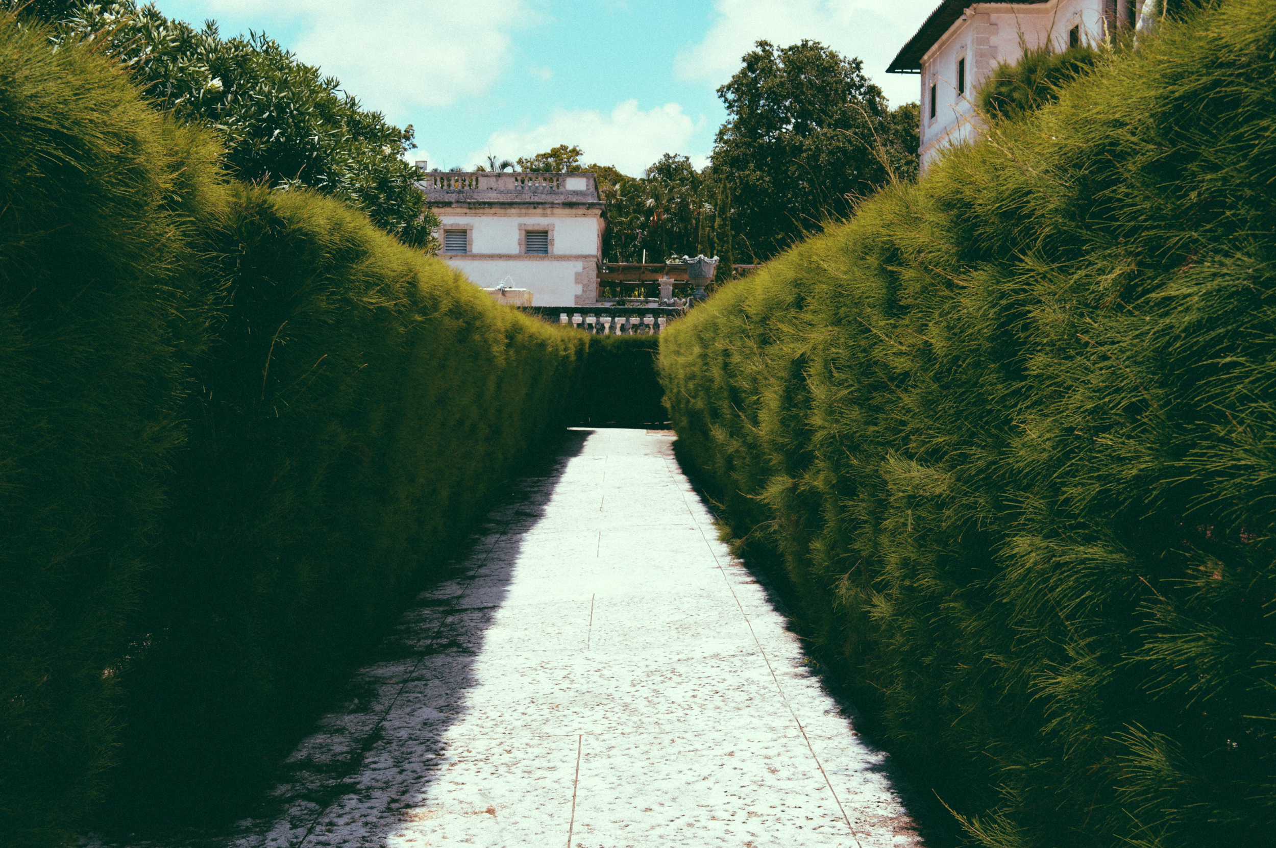 vizcaya-13.jpg