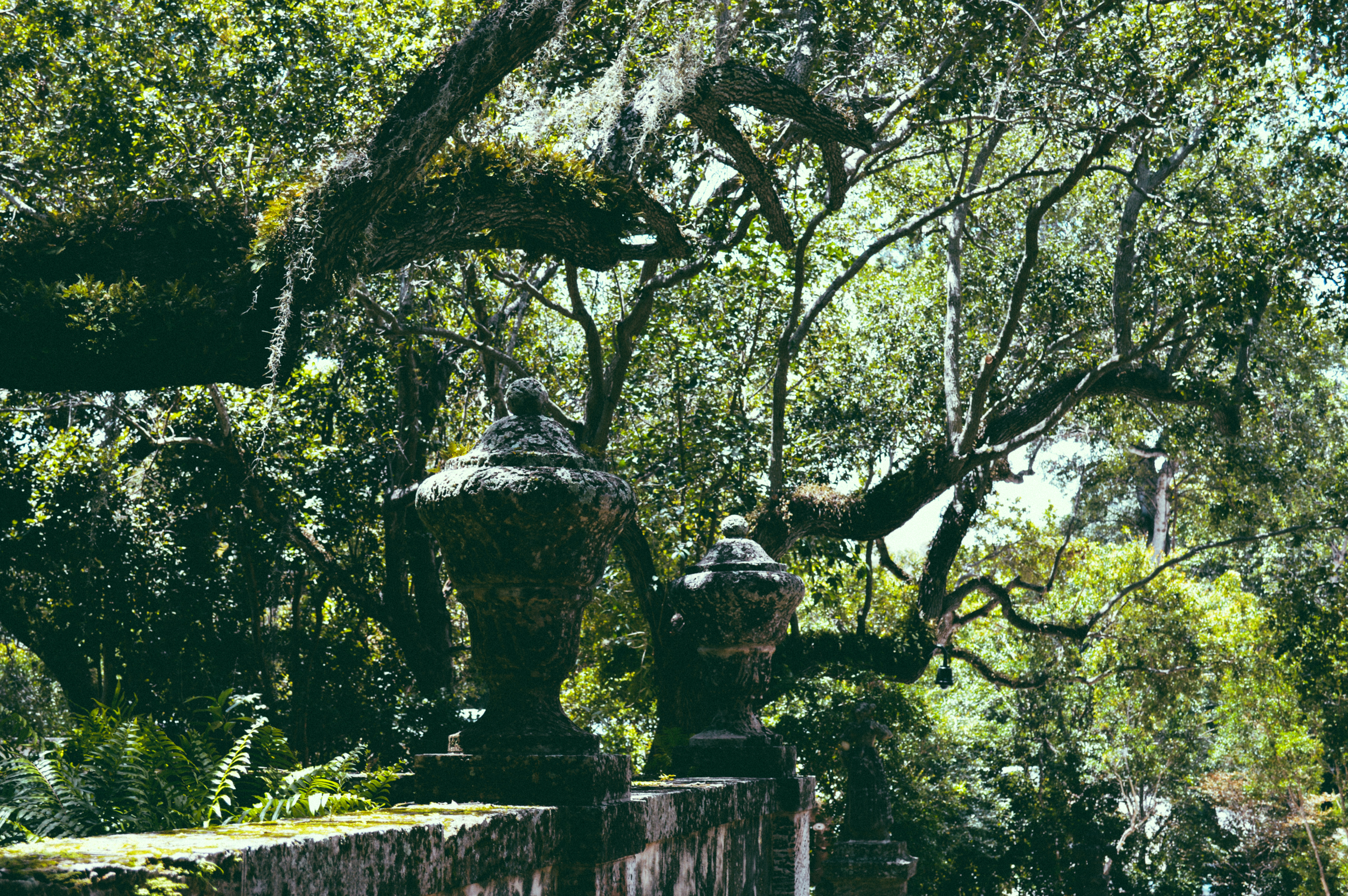 vizcaya-32.jpg
