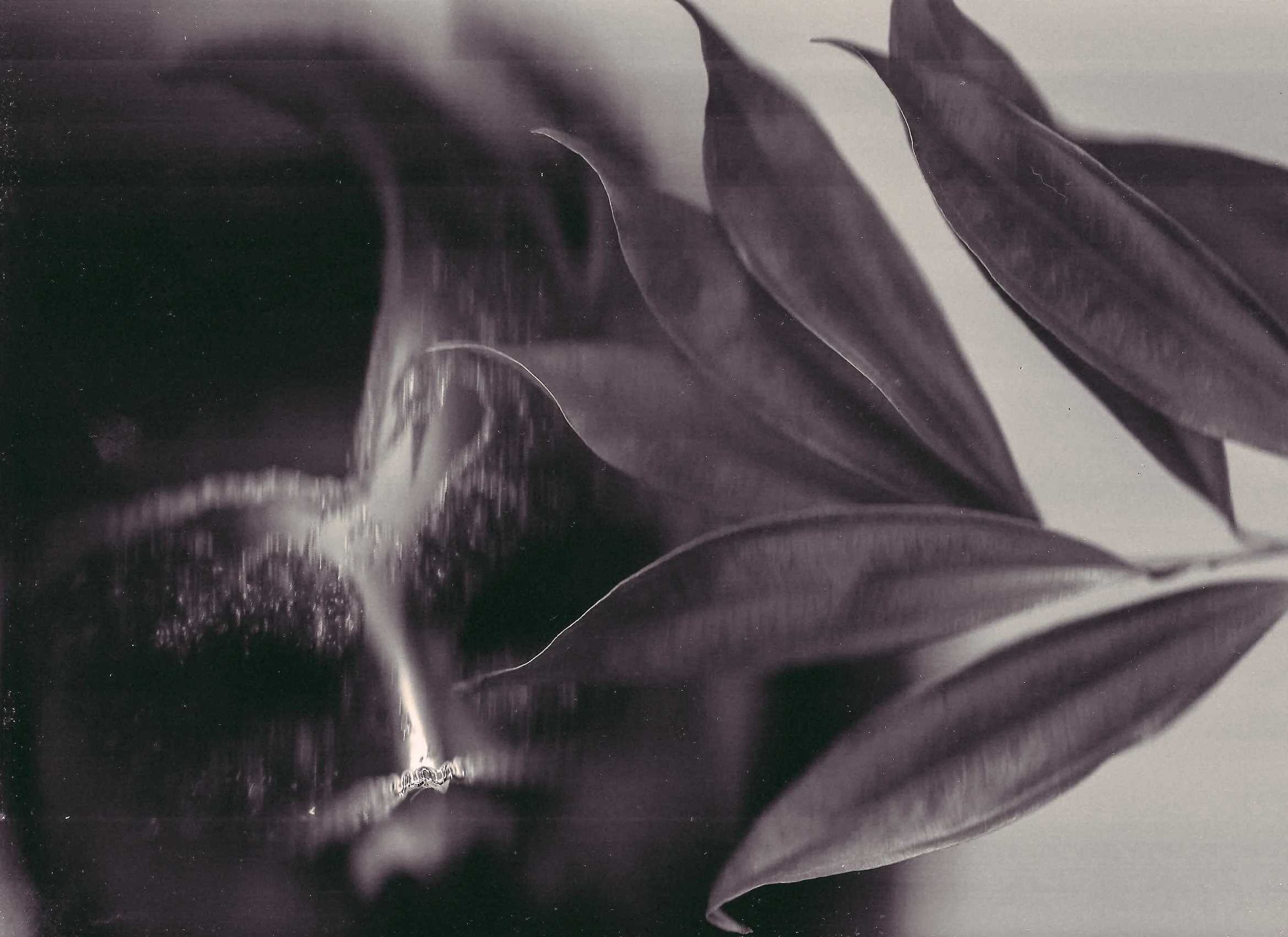 various storms & saints 