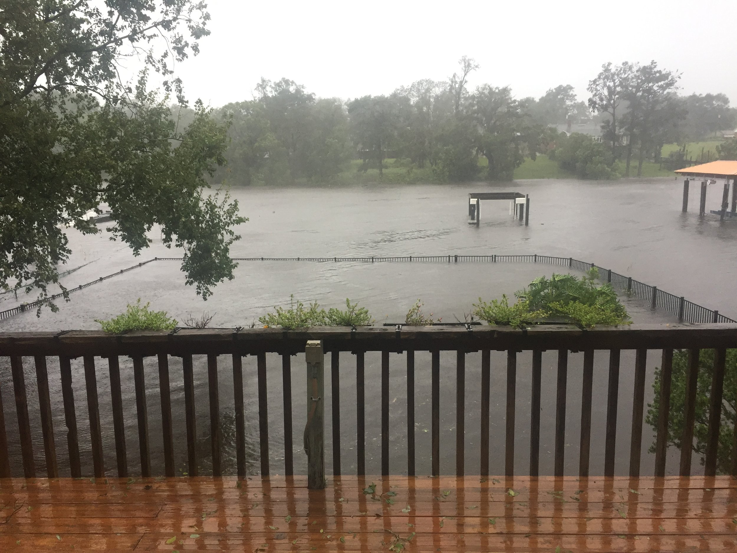 What our backyard looked like when we evacuated (it got about another 8 inches higher after that)