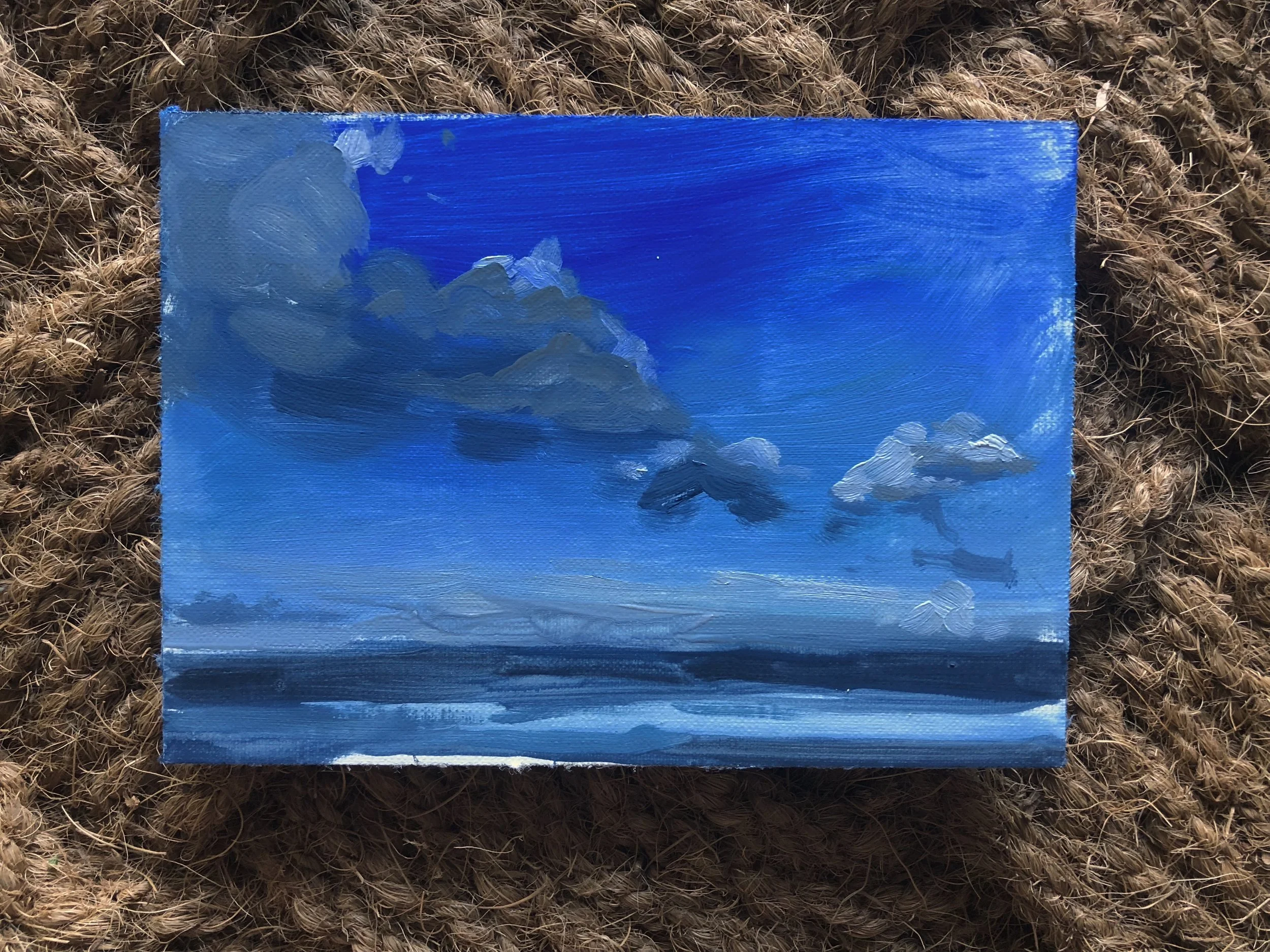 29 September 2018. My camera is exaggerating the blues. They are actually a bit grayer.