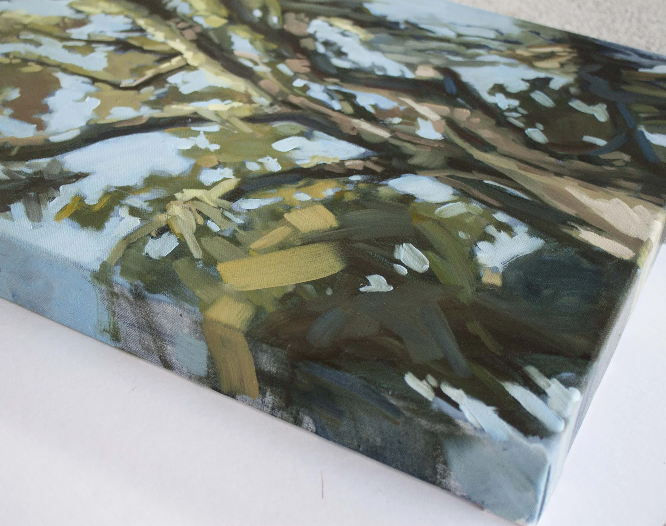 16x20 canopy edge7small.jpg
