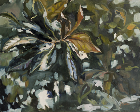 Evergreen, 16”x20”,oil on 1.5” deep wrapped canvas