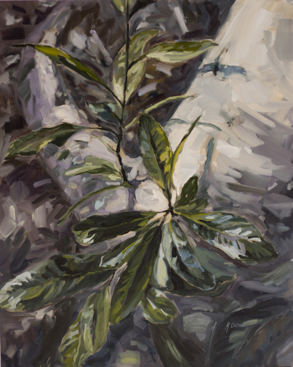 Begin Again, 24”x30”, oil on 1.5” deep wrapped canvas