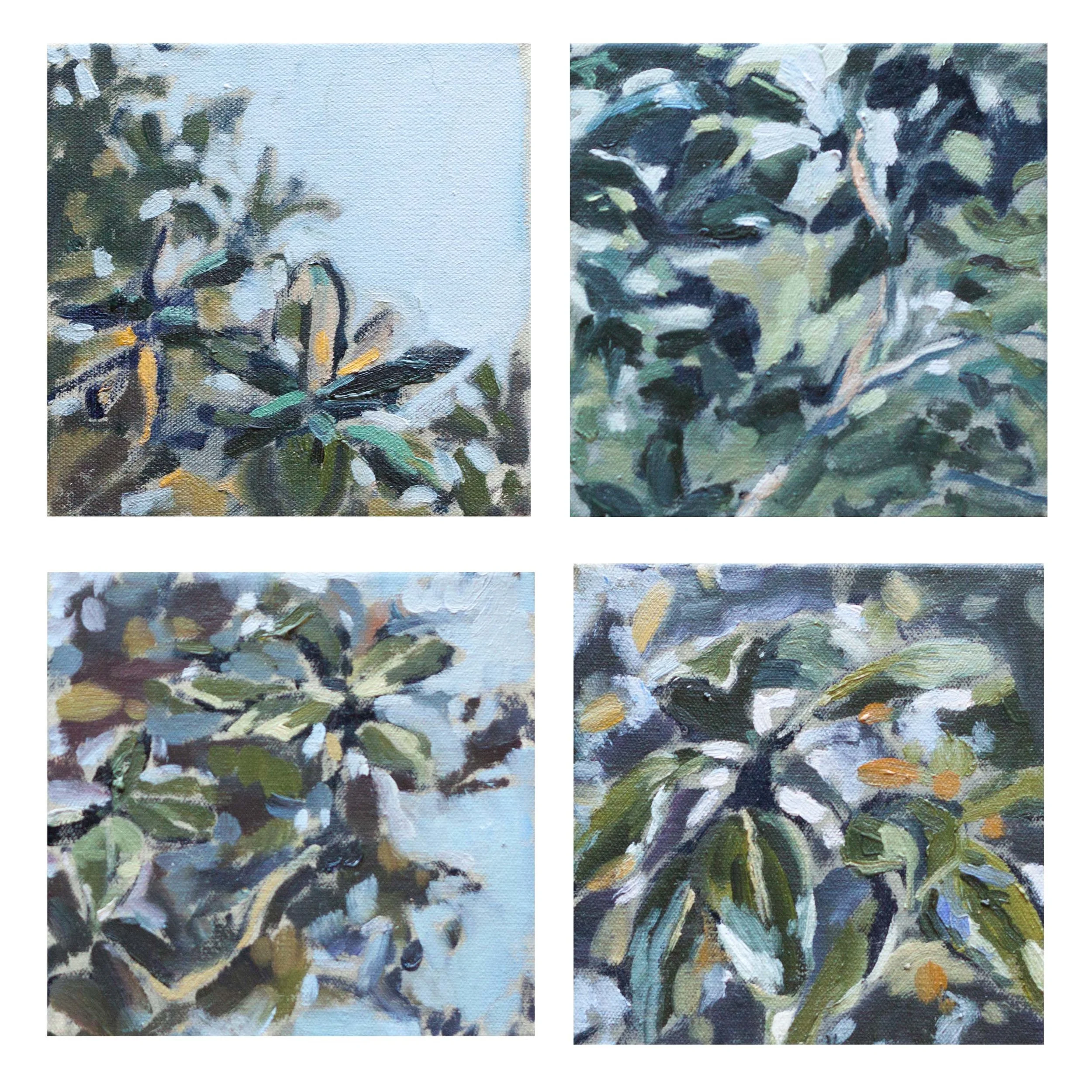 Magnolia Montage, 4 6”x6” Canvassses