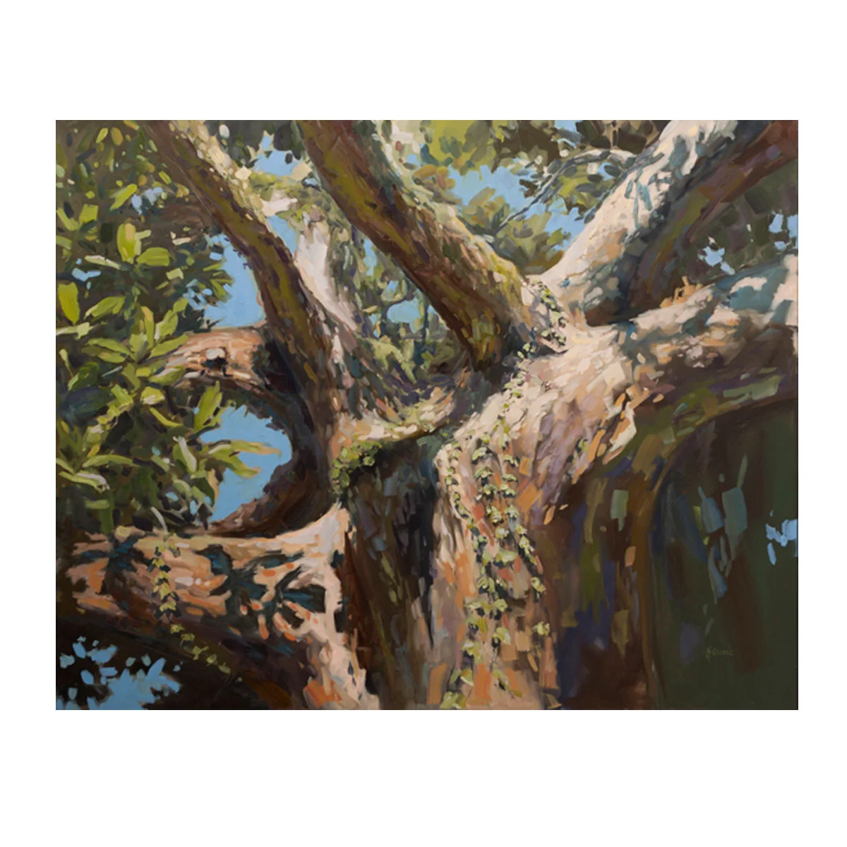 Presence Fine Art Print