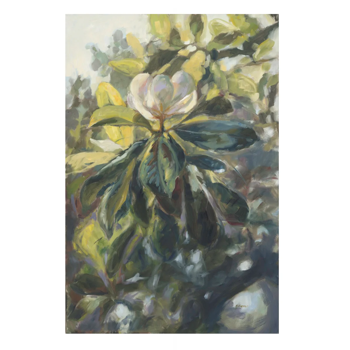 Morning Fine Art Print
