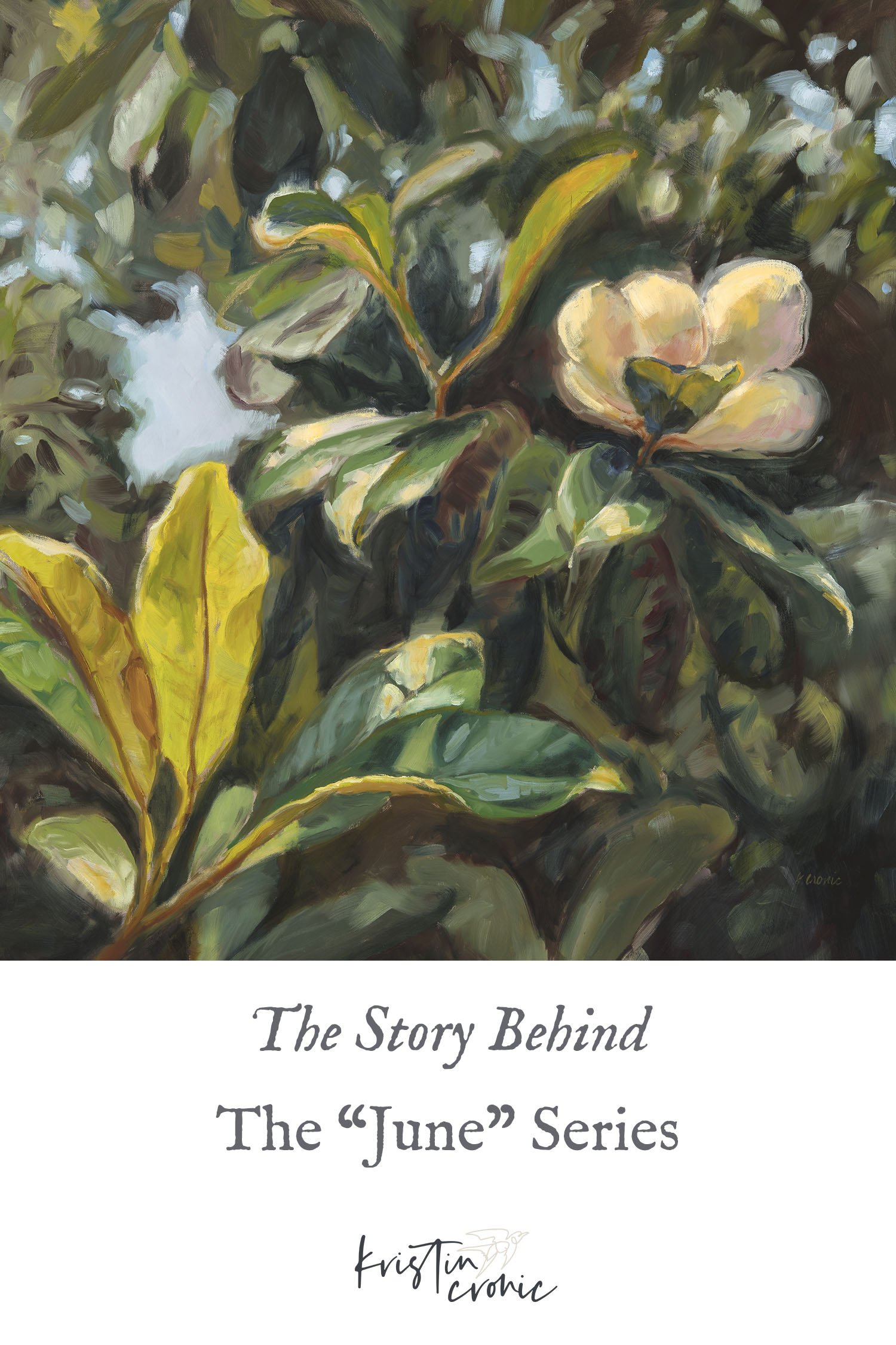 Adoring Magnolias (and their relationship with oaks)