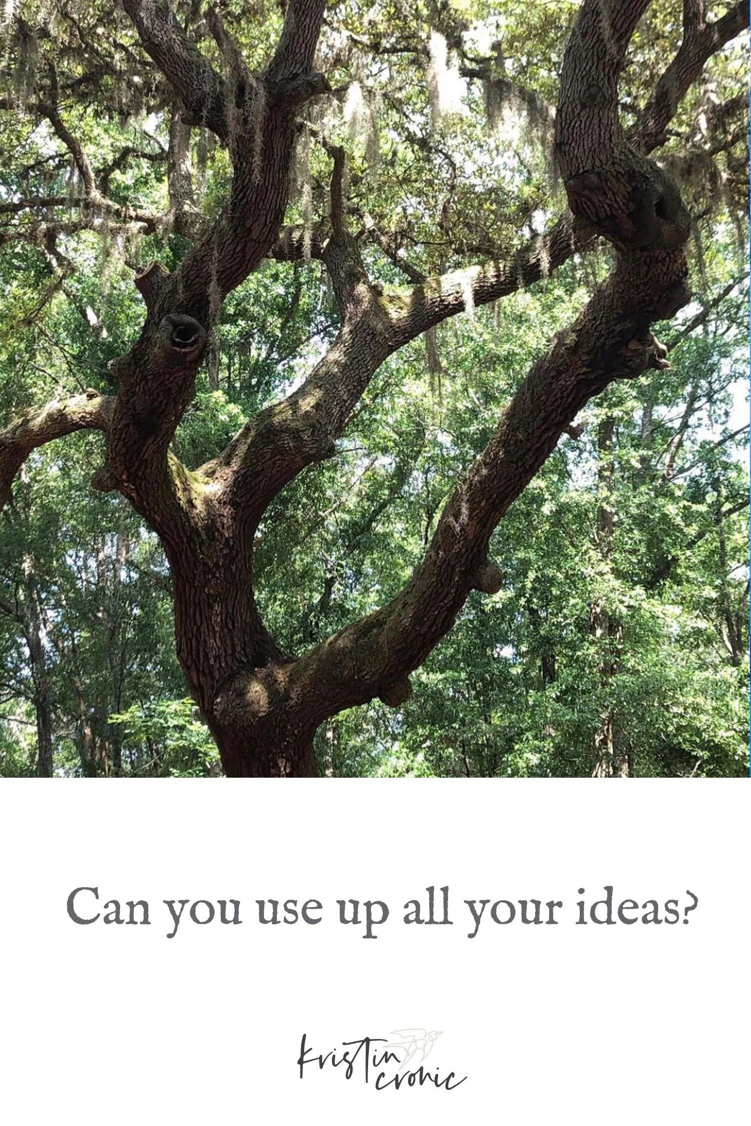 Can you use up all of your ideas? 