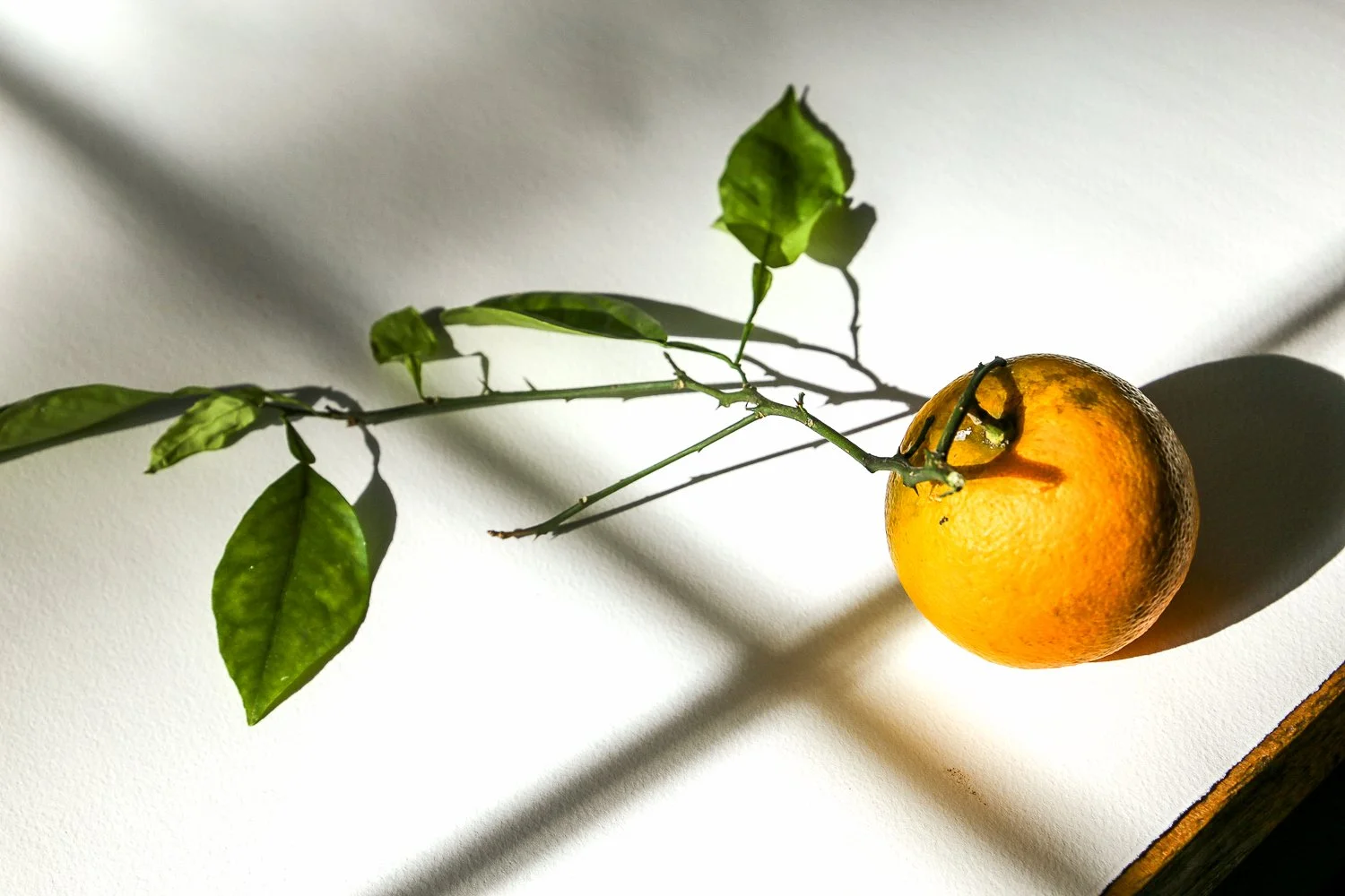 Fruit Card Photos-50.jpg