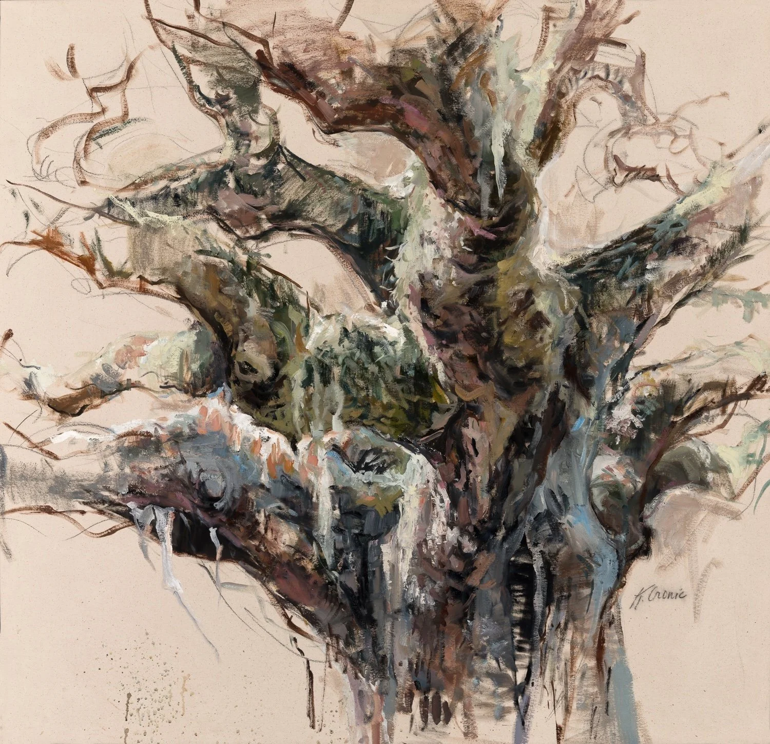 shes magnificent (the audacity).jpg