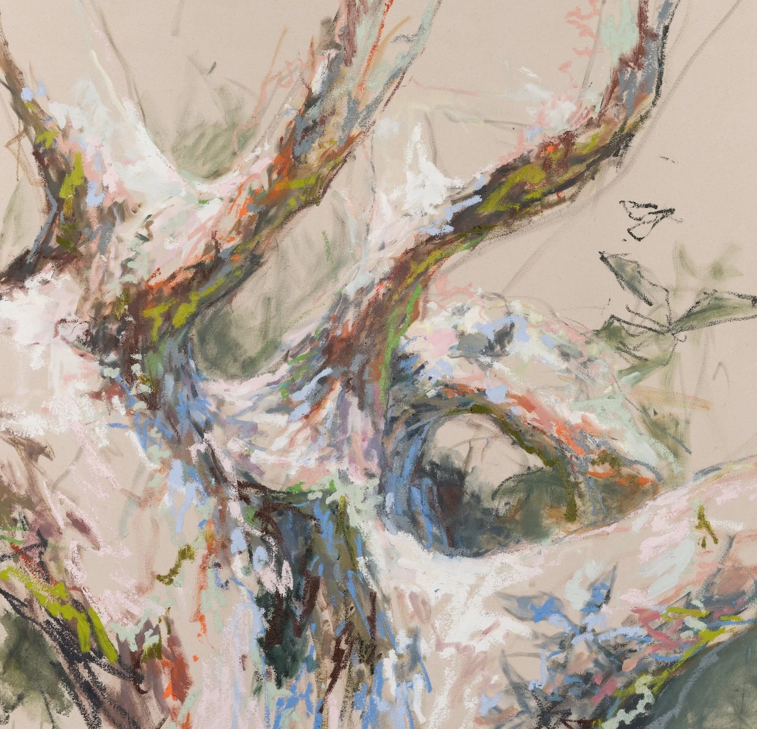 veins (she peaked after 30).jpg