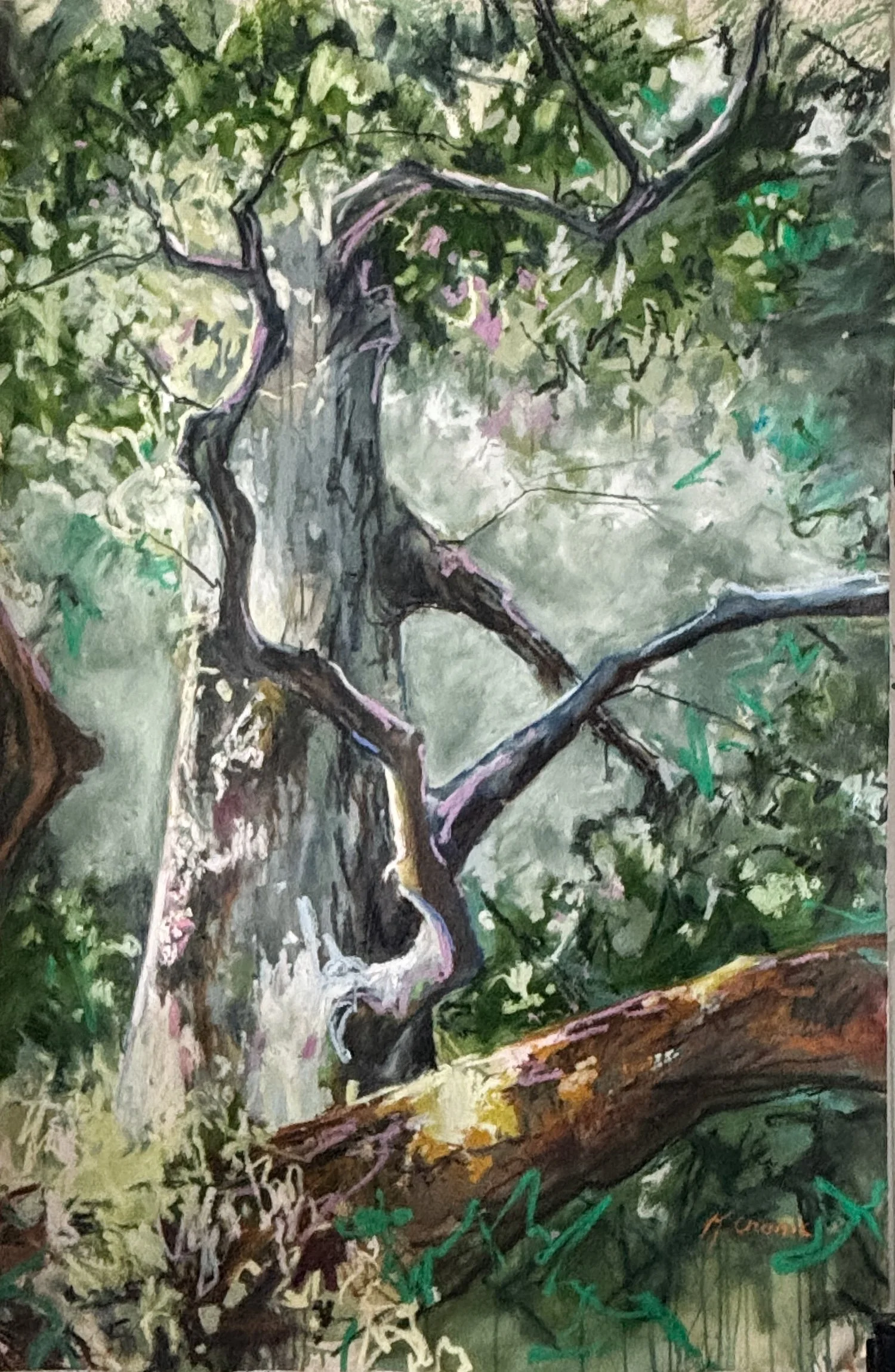 you belong you belong you belong.JPG