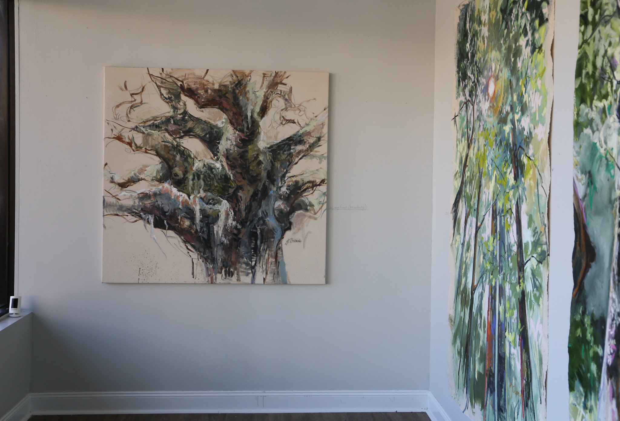 Touche Gallery, Jacksonville, Florida