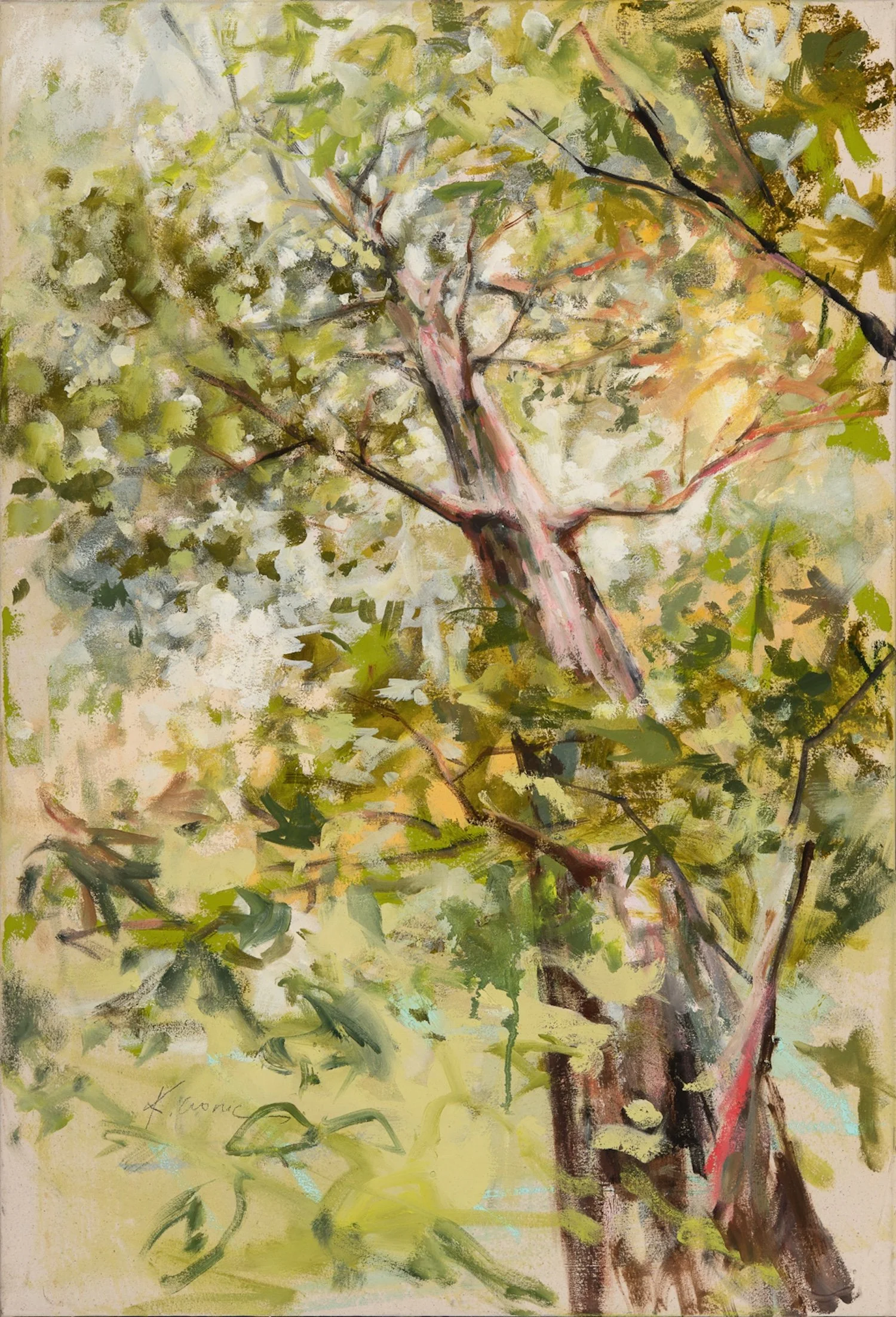 2025 scanned files-11.jpg