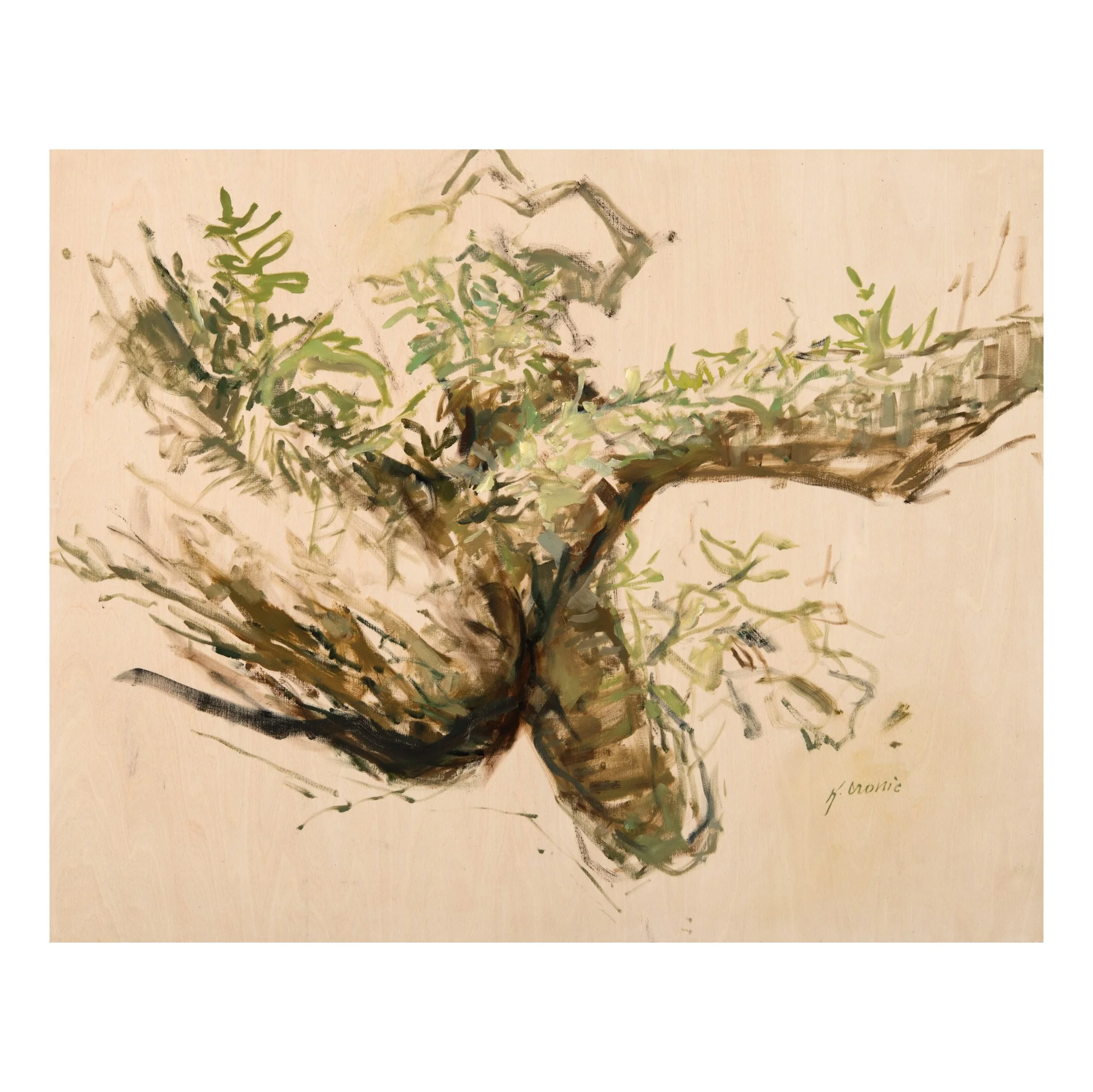 whispers of secrets | 24"x30" oil on wood