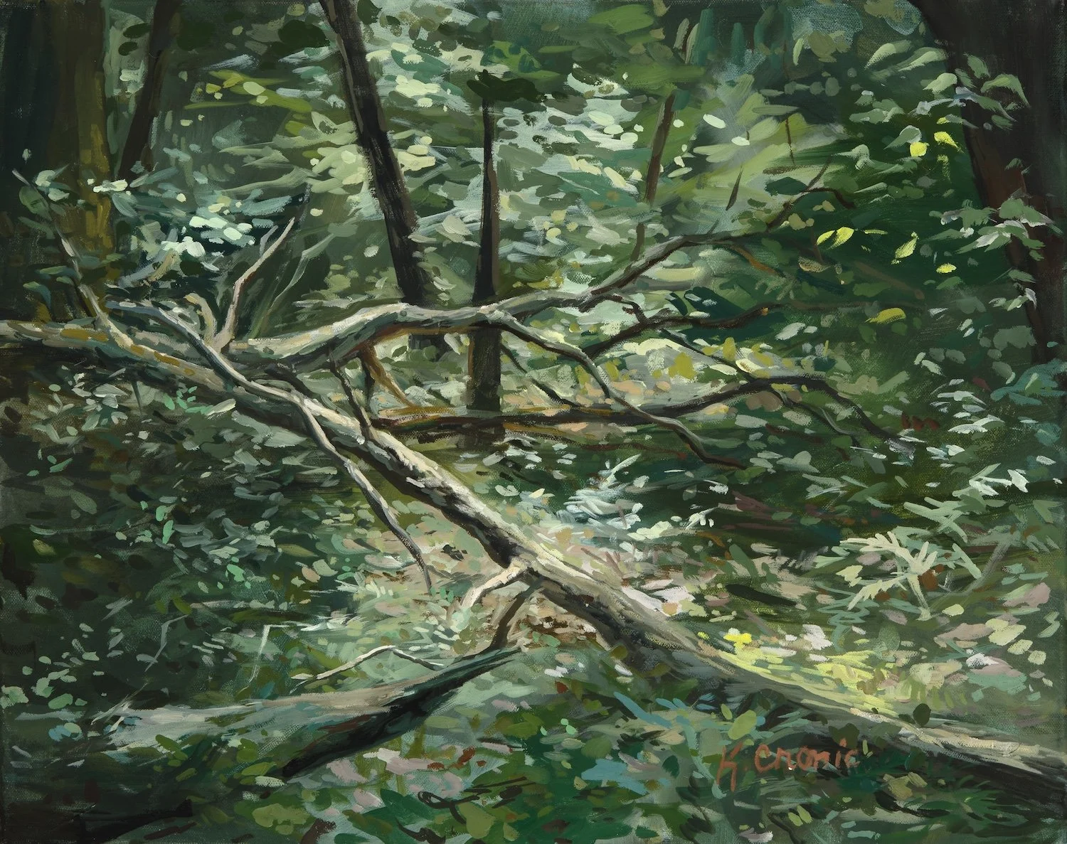 magic in the woods.jpg