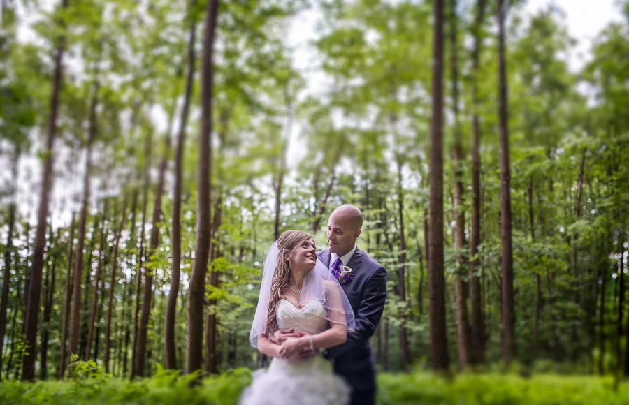 20150627-D8H_0368-Edit-3.jpg